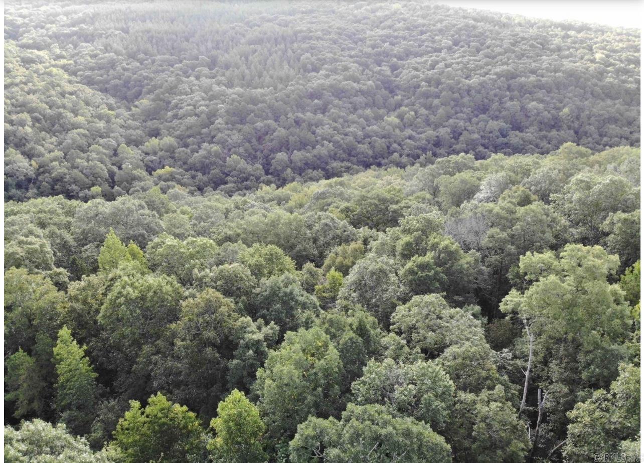 3008  Highway 65 N  Clinton, AR