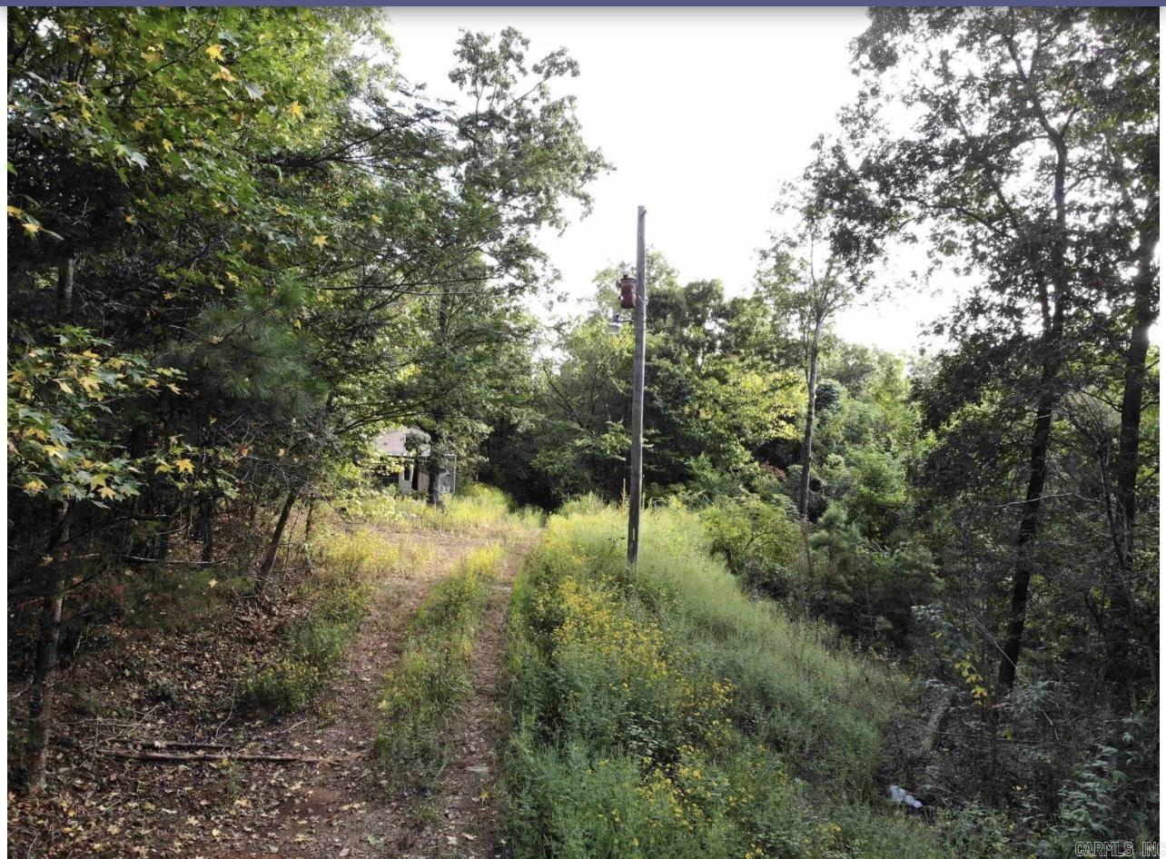 3008  Highway 65 N  Clinton, AR
