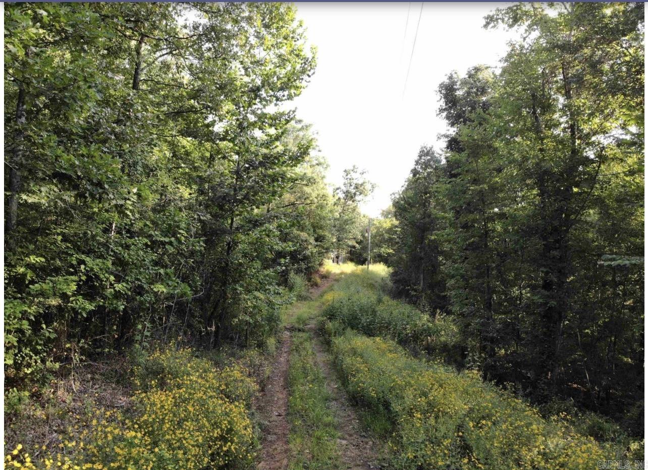 3008  Highway 65 N  Clinton, AR