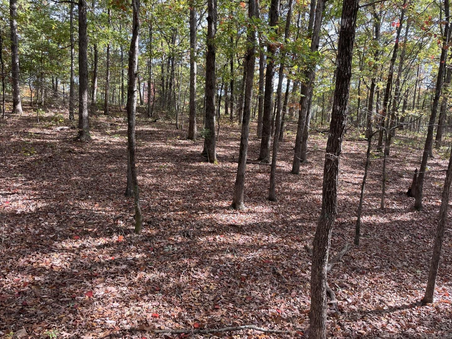 Tract 10 White Oak Ln  Heber Springs, AR