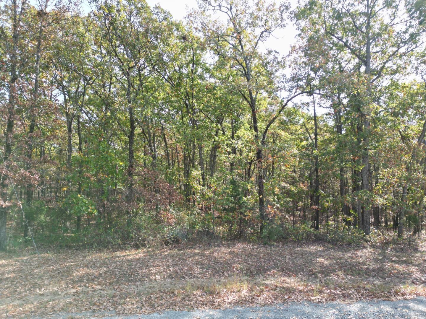 Tract 10 White Oak Ln  Heber Springs, AR