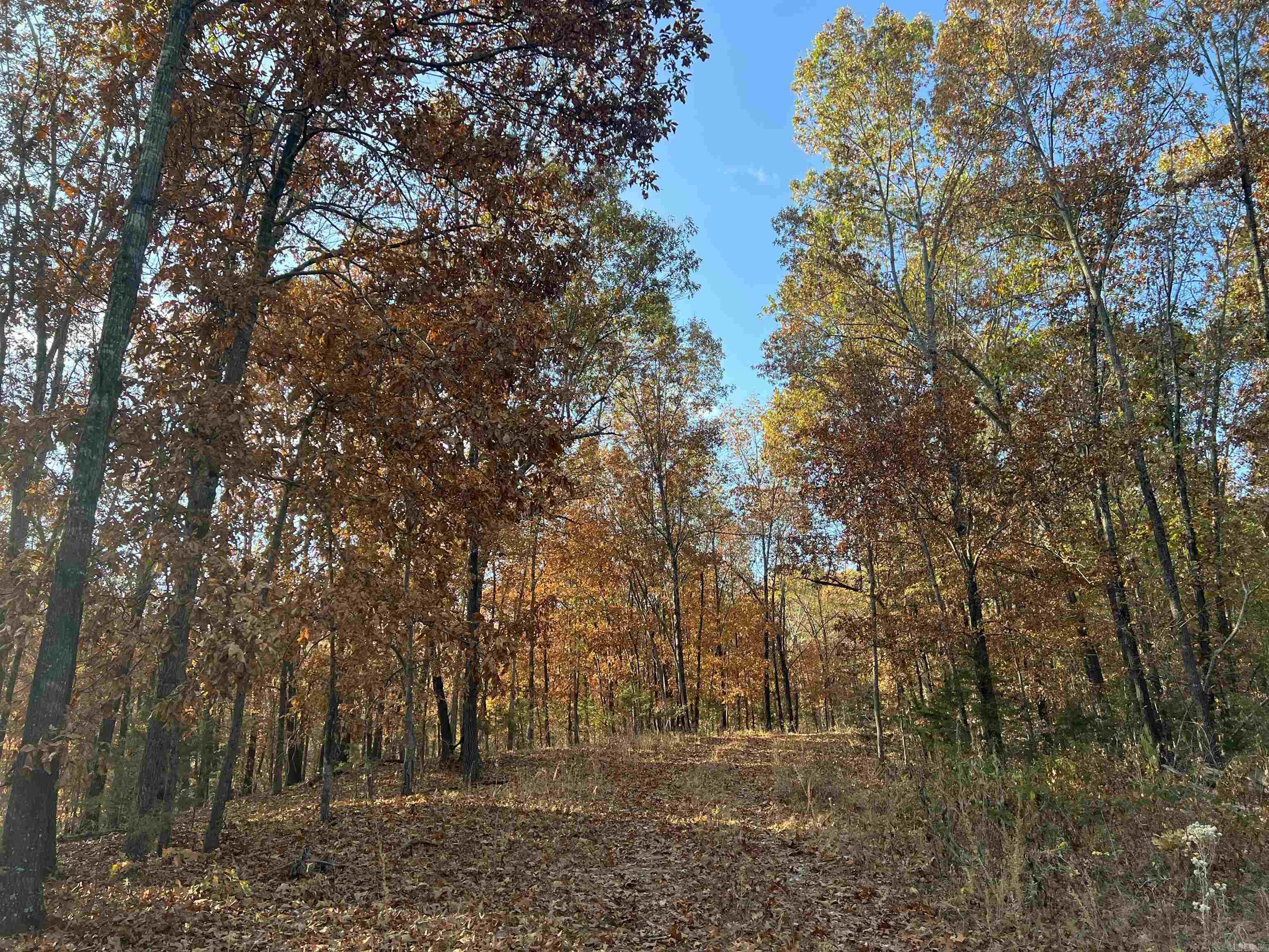 17.03 AC  Jackson  Omaha, AR