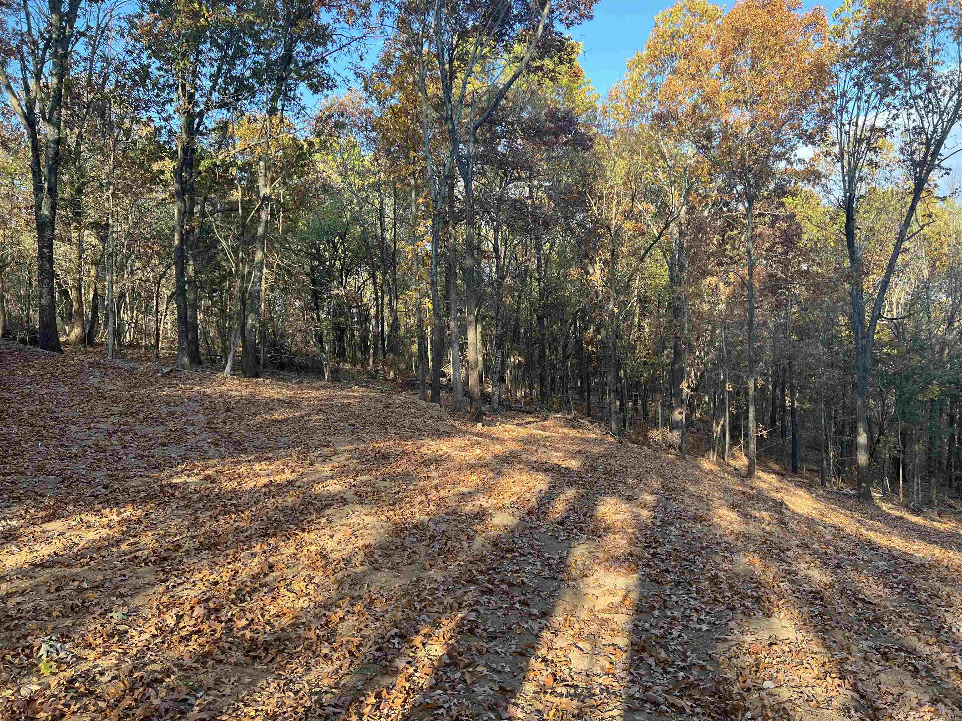 17.03 AC  Jackson  Omaha, AR