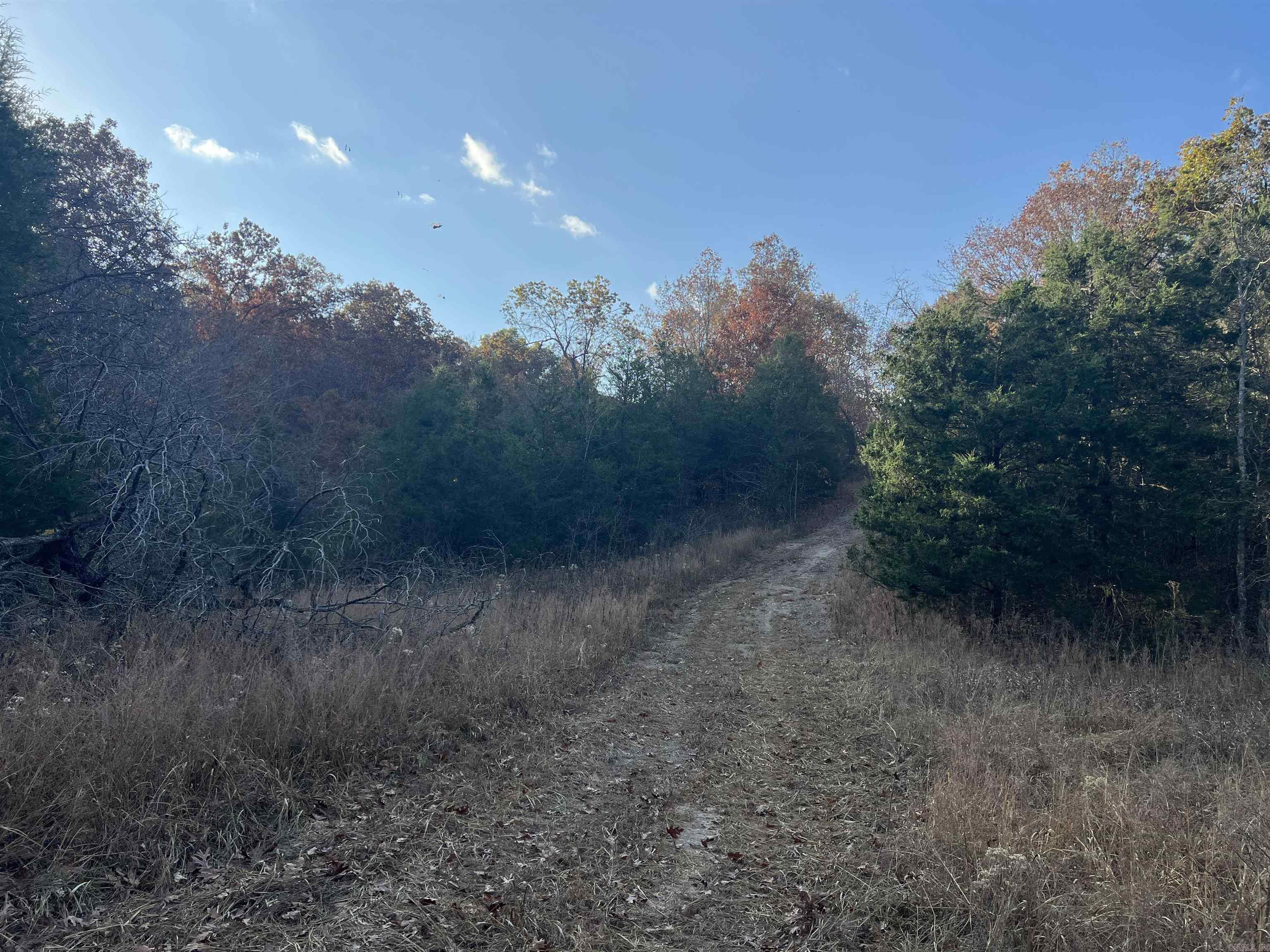 17.03 AC  Jackson  Omaha, AR
