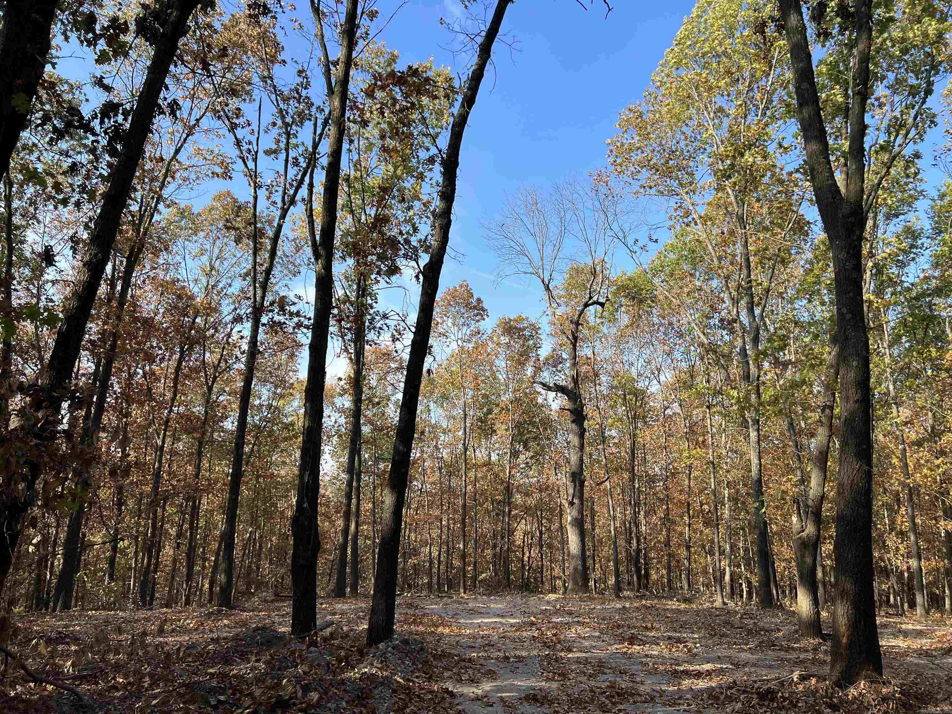 16.55 AC  Jackson  Omaha, AR
