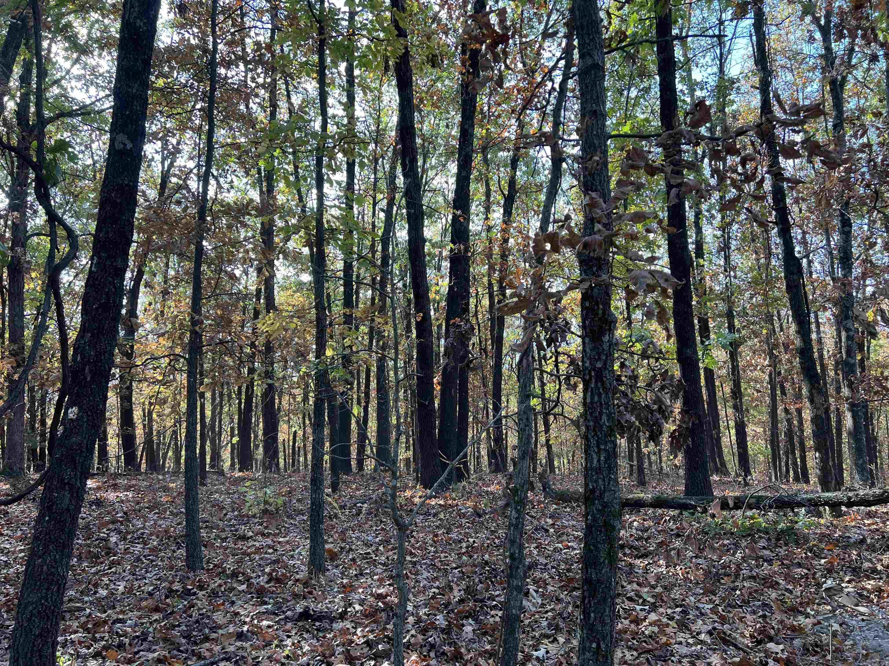 16.55 AC  Jackson  Omaha, AR