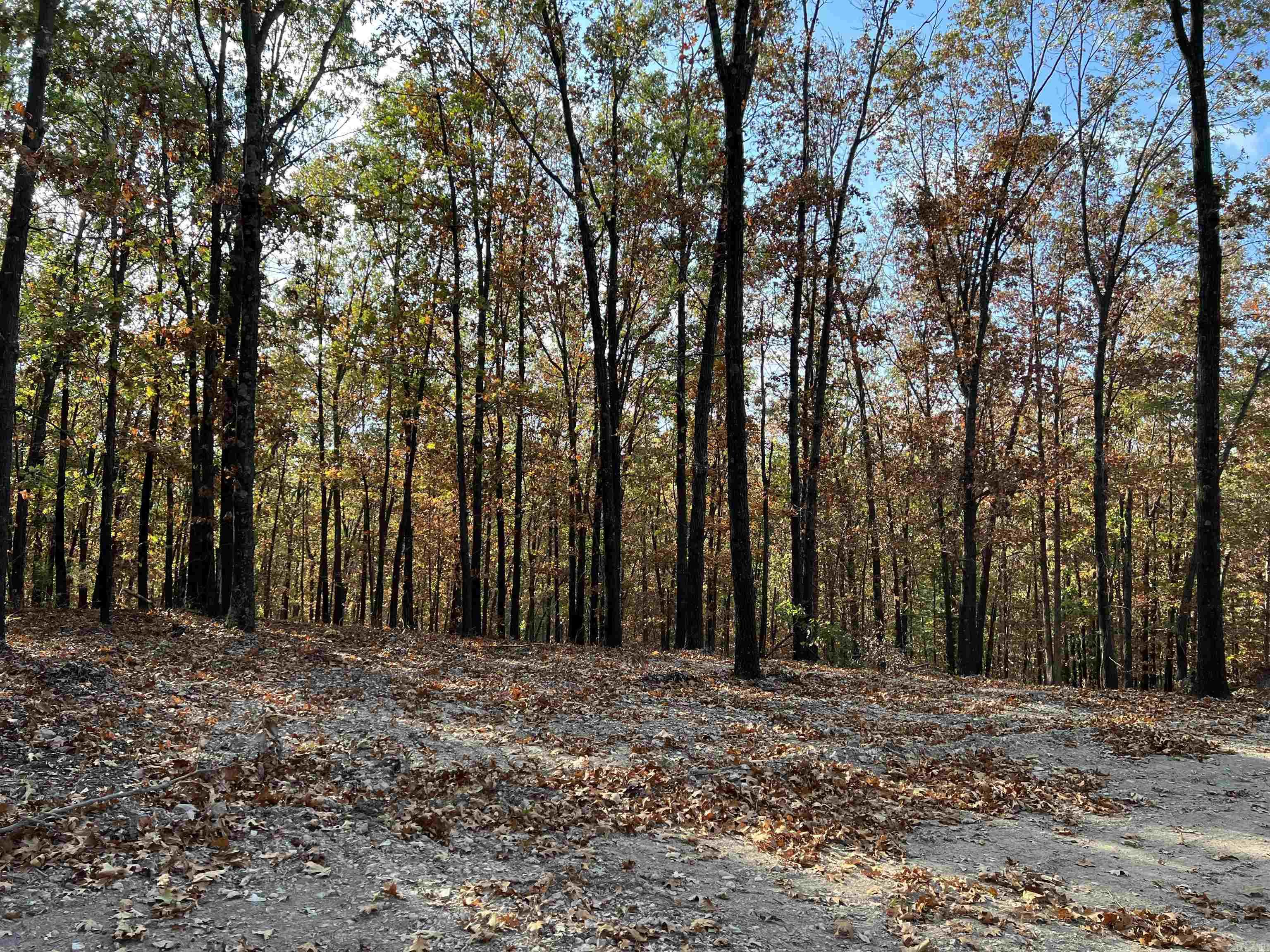 16.55 AC  Jackson  Omaha, AR