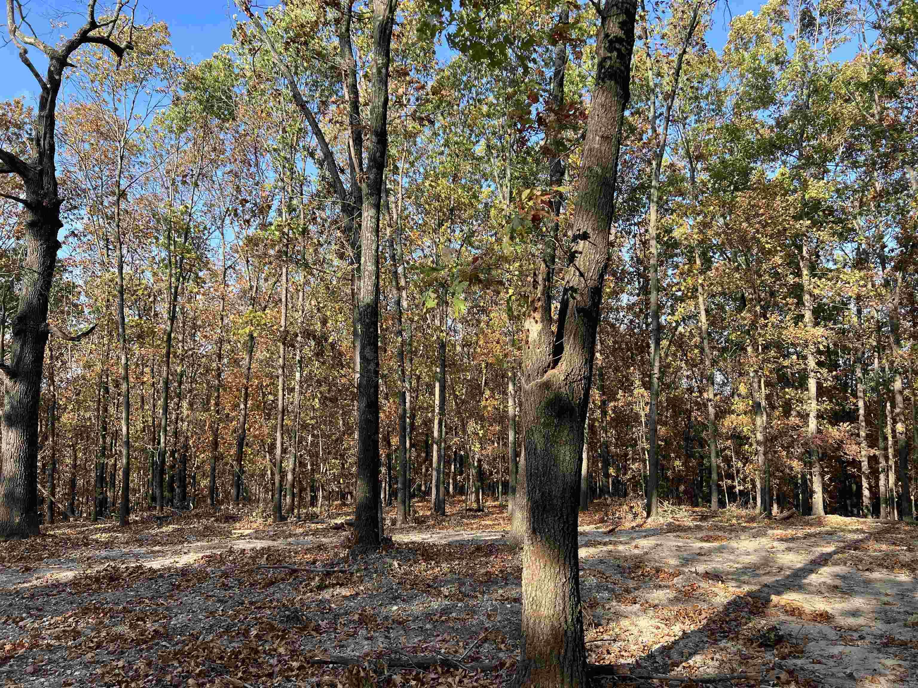 16.55 AC  Jackson  Omaha, AR