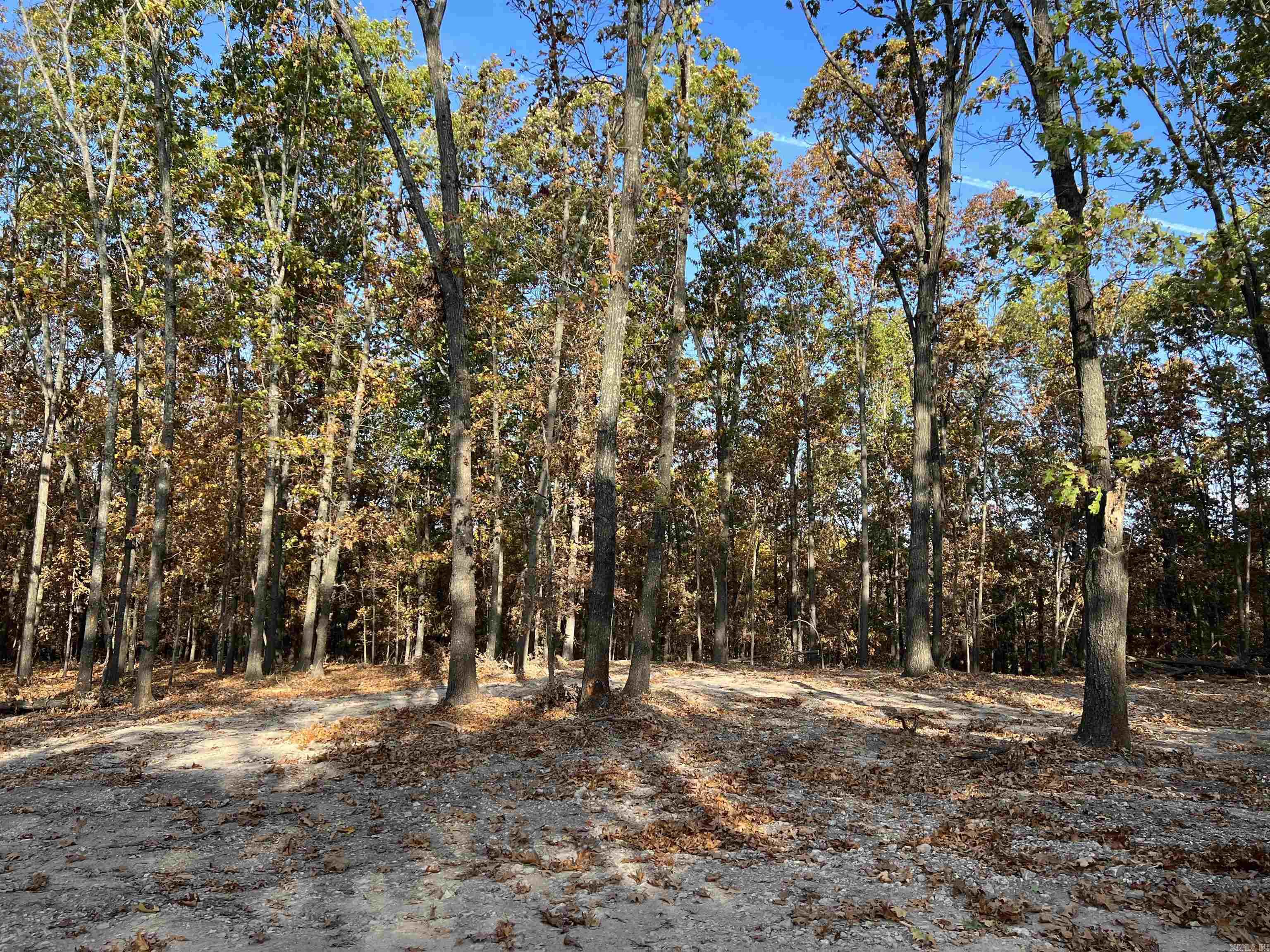 16.55 AC  Jackson  Omaha, AR
