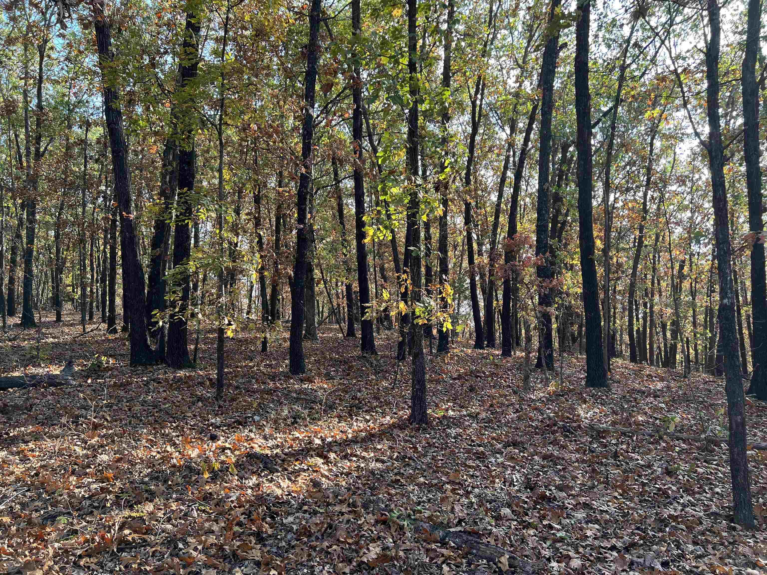 16.55 AC  Jackson  Omaha, AR