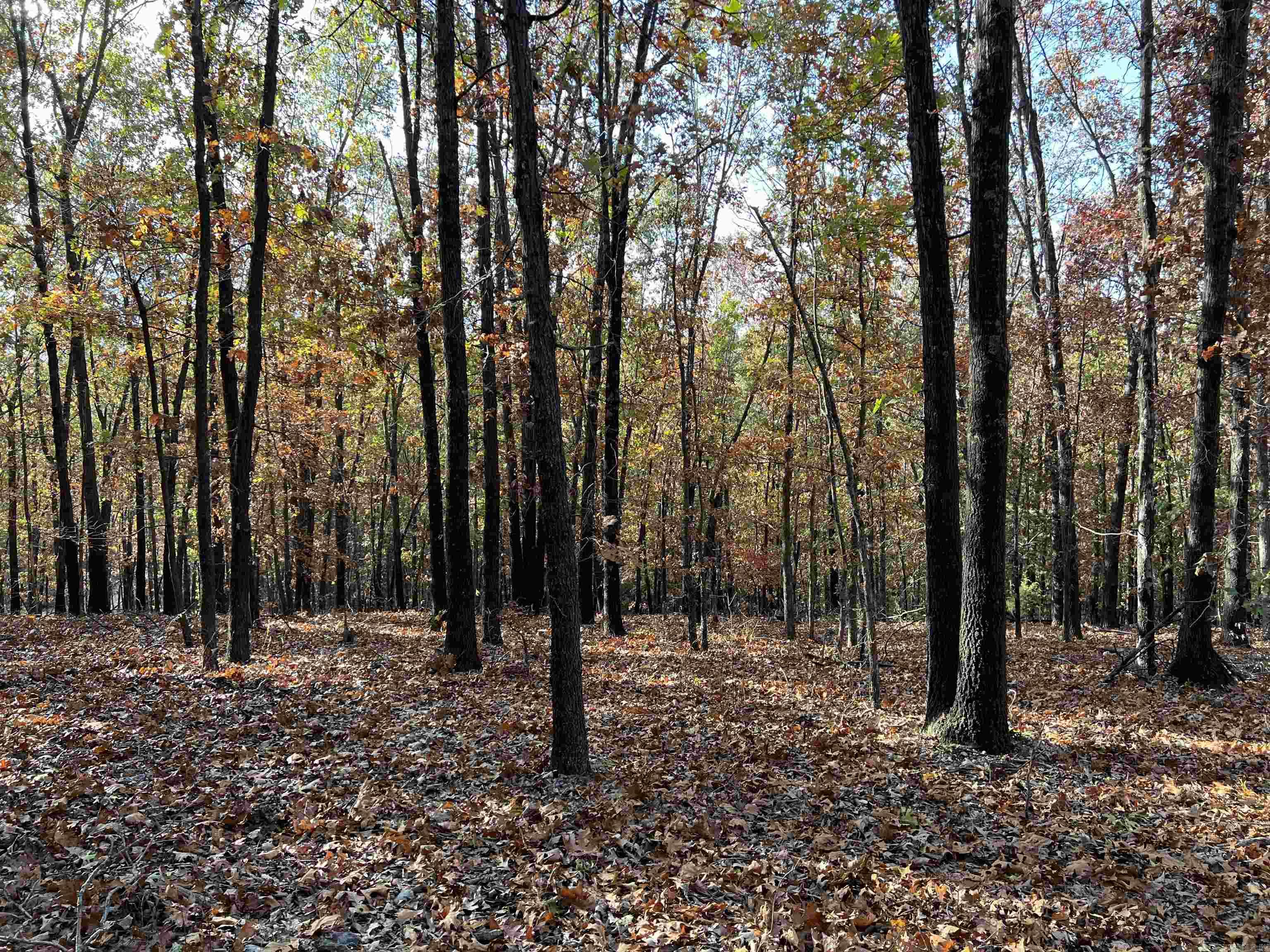 16.55 AC  Jackson  Omaha, AR