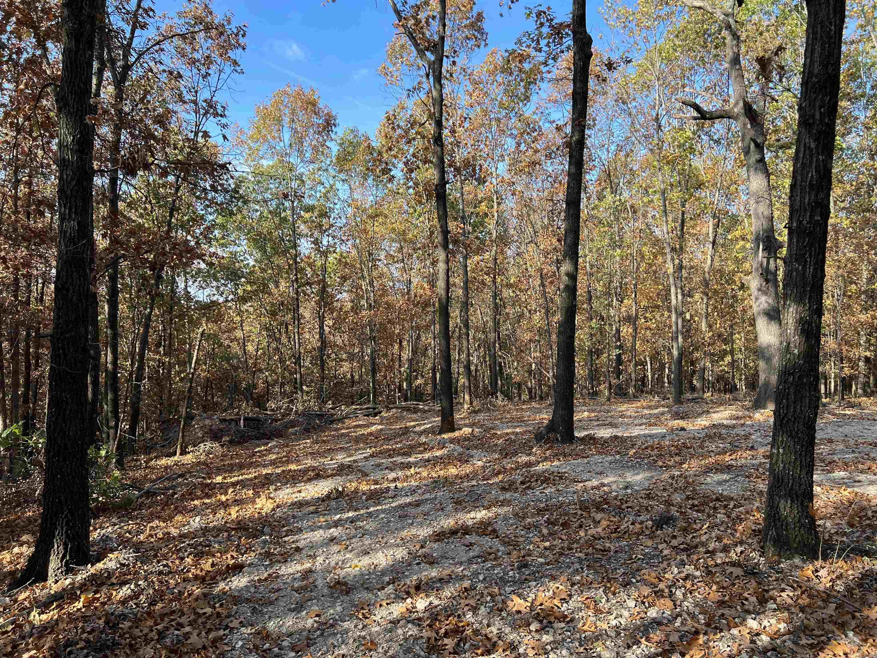 16.55 AC  Jackson  Omaha, AR