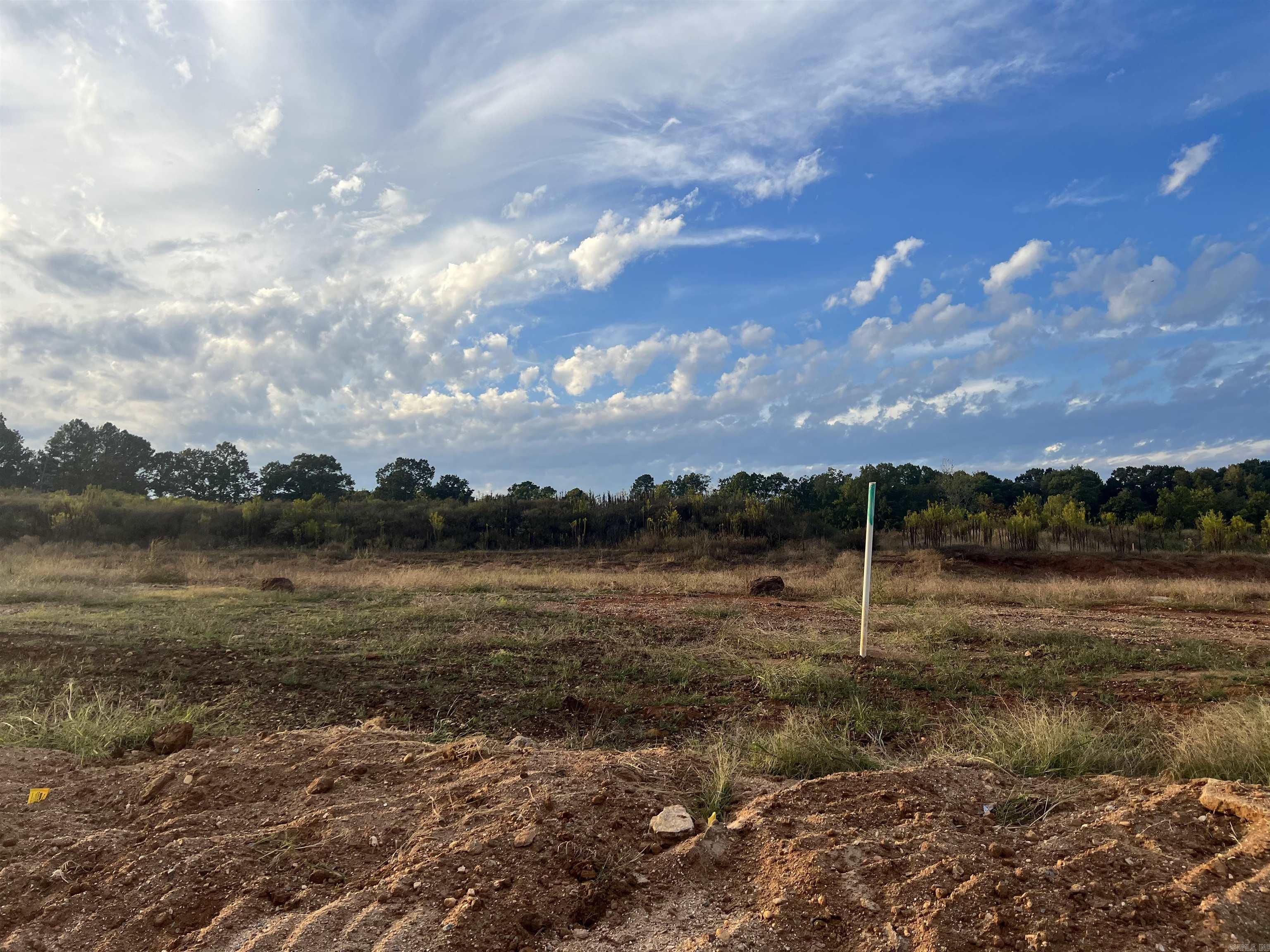 Lot 51  Harmony Village  Benton, AR