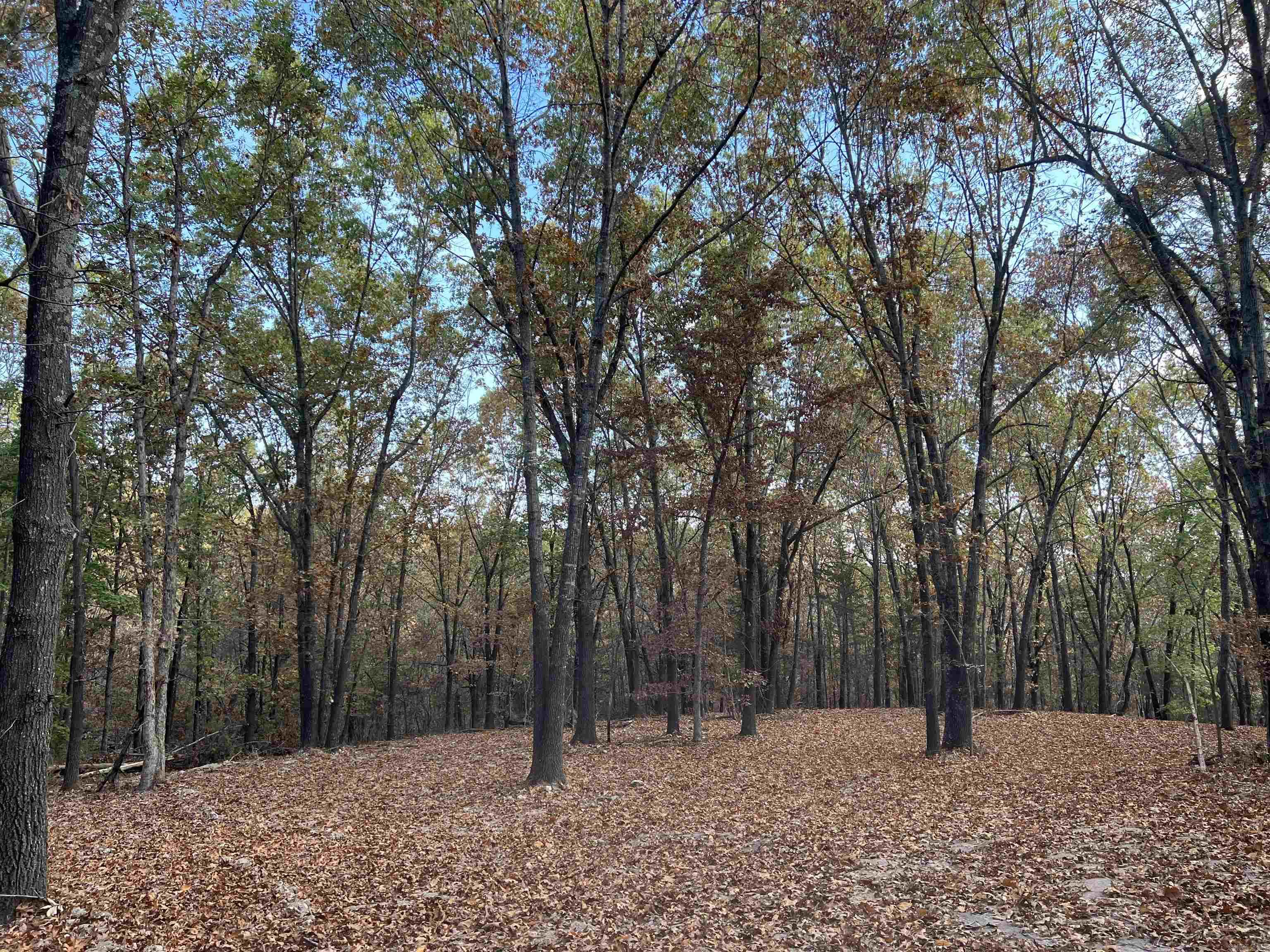 16.33 AC  Jackson  Omaha, AR