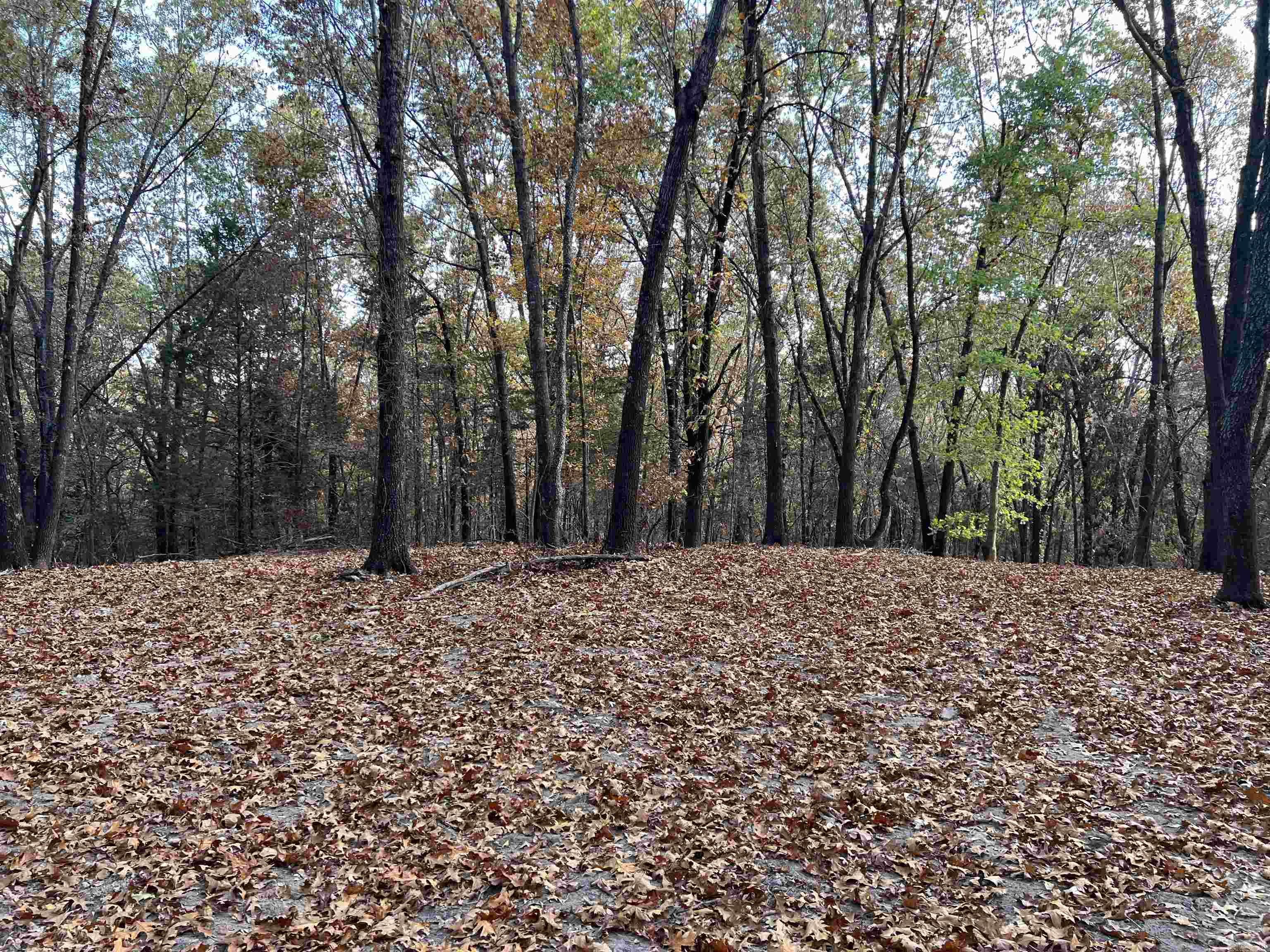 16.33 AC  Jackson  Omaha, AR