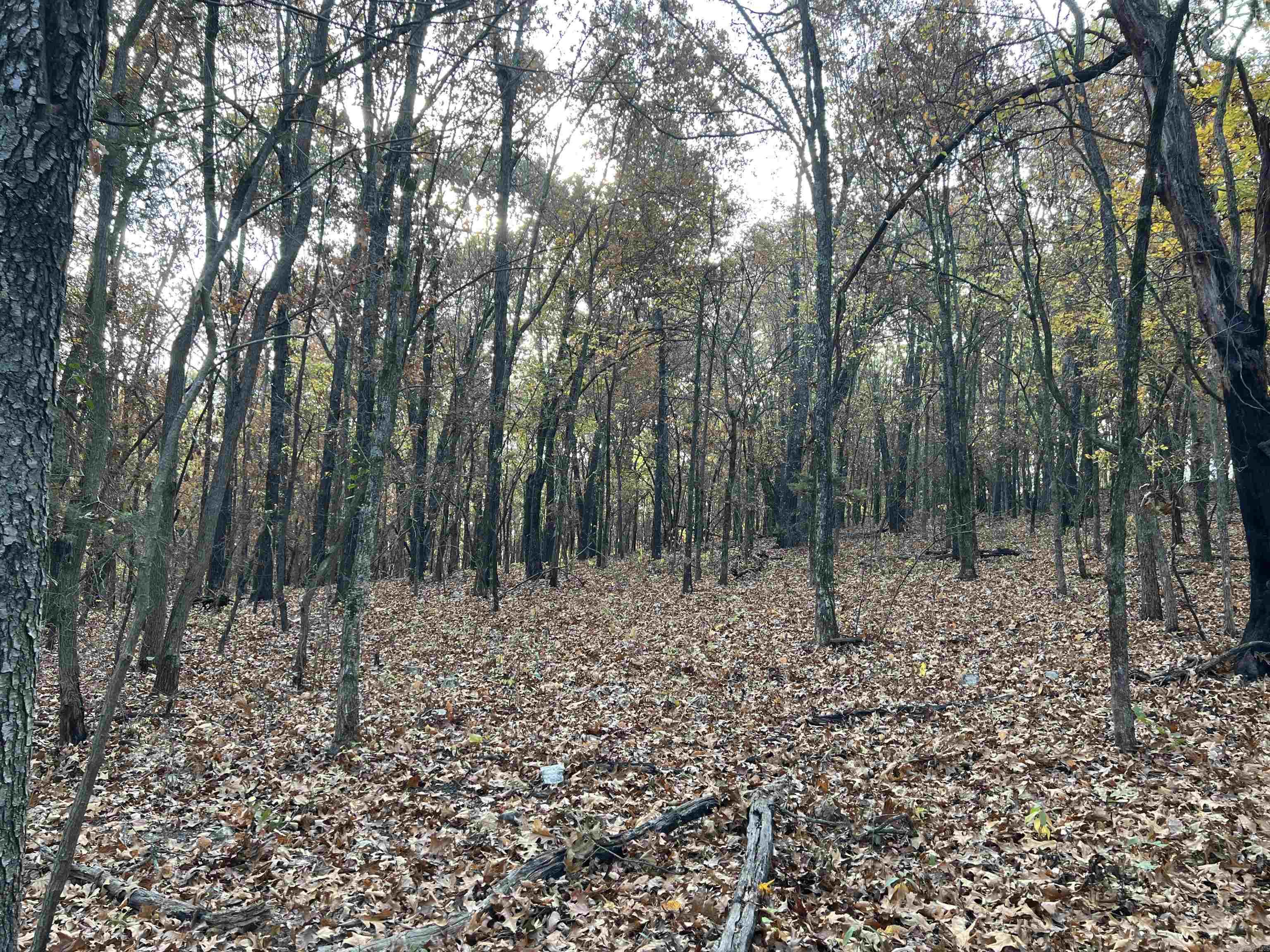 16.33 AC  Jackson  Omaha, AR