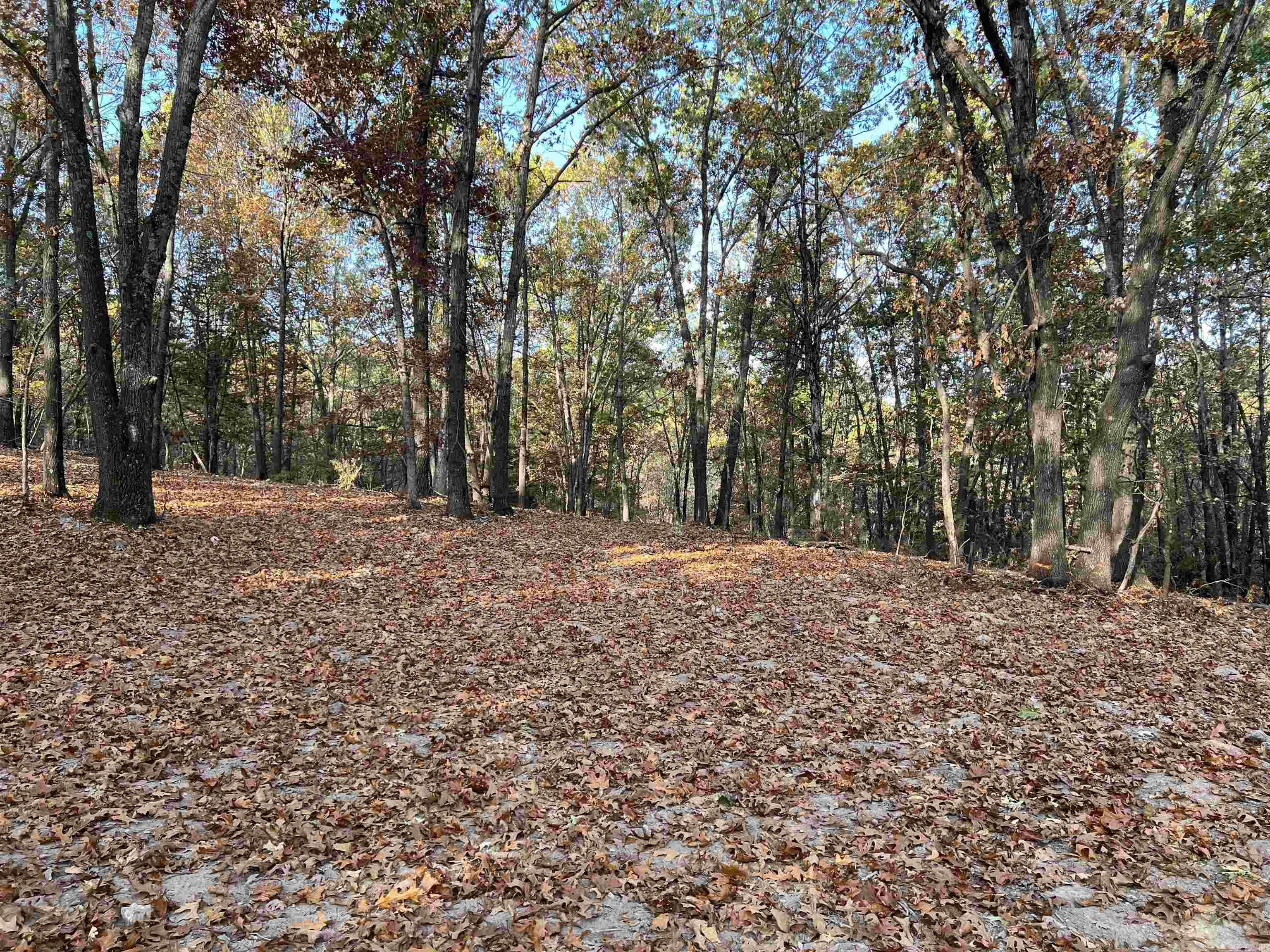 16.33 AC  Jackson  Omaha, AR