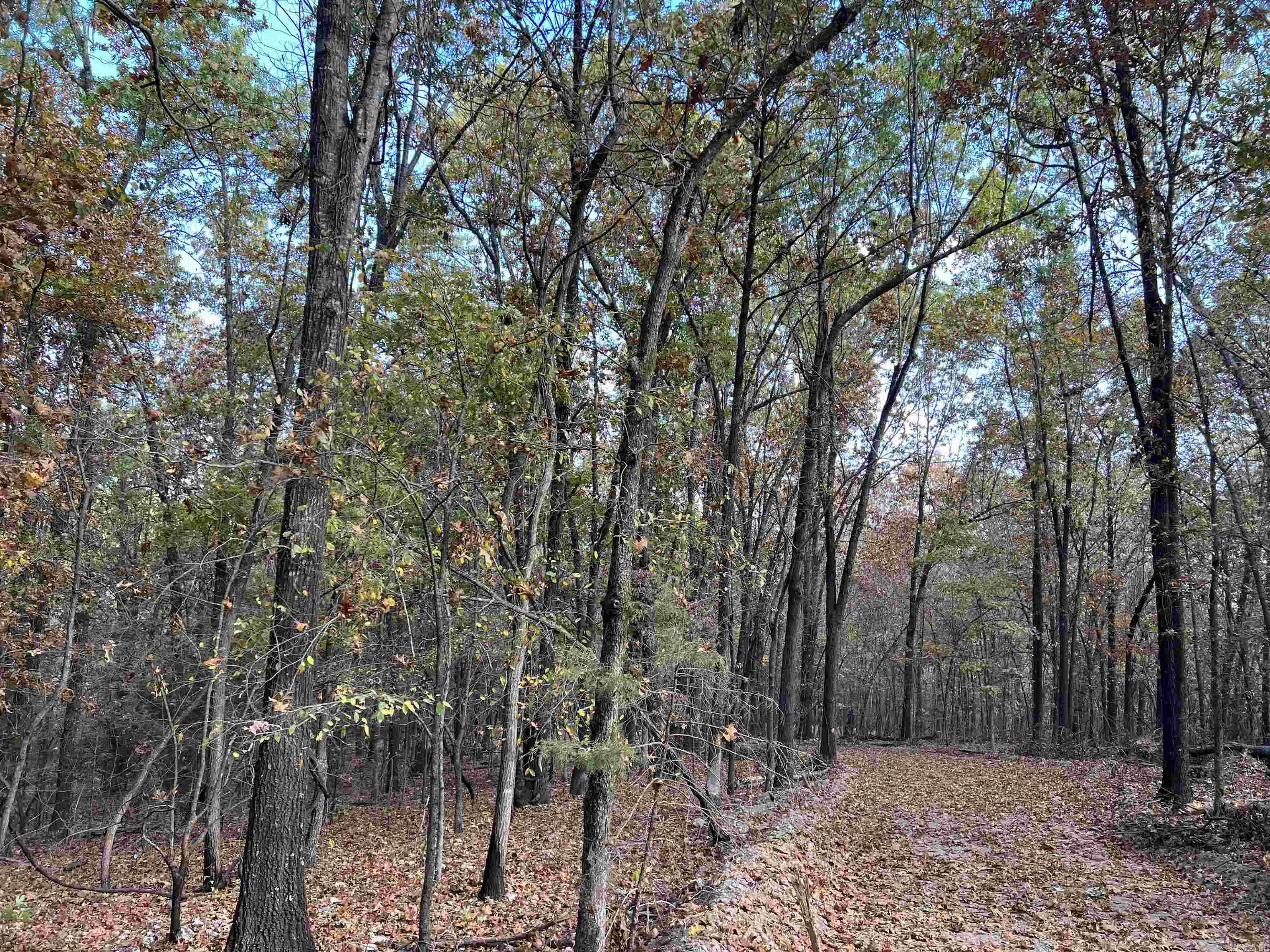 16.33 AC  Jackson  Omaha, AR