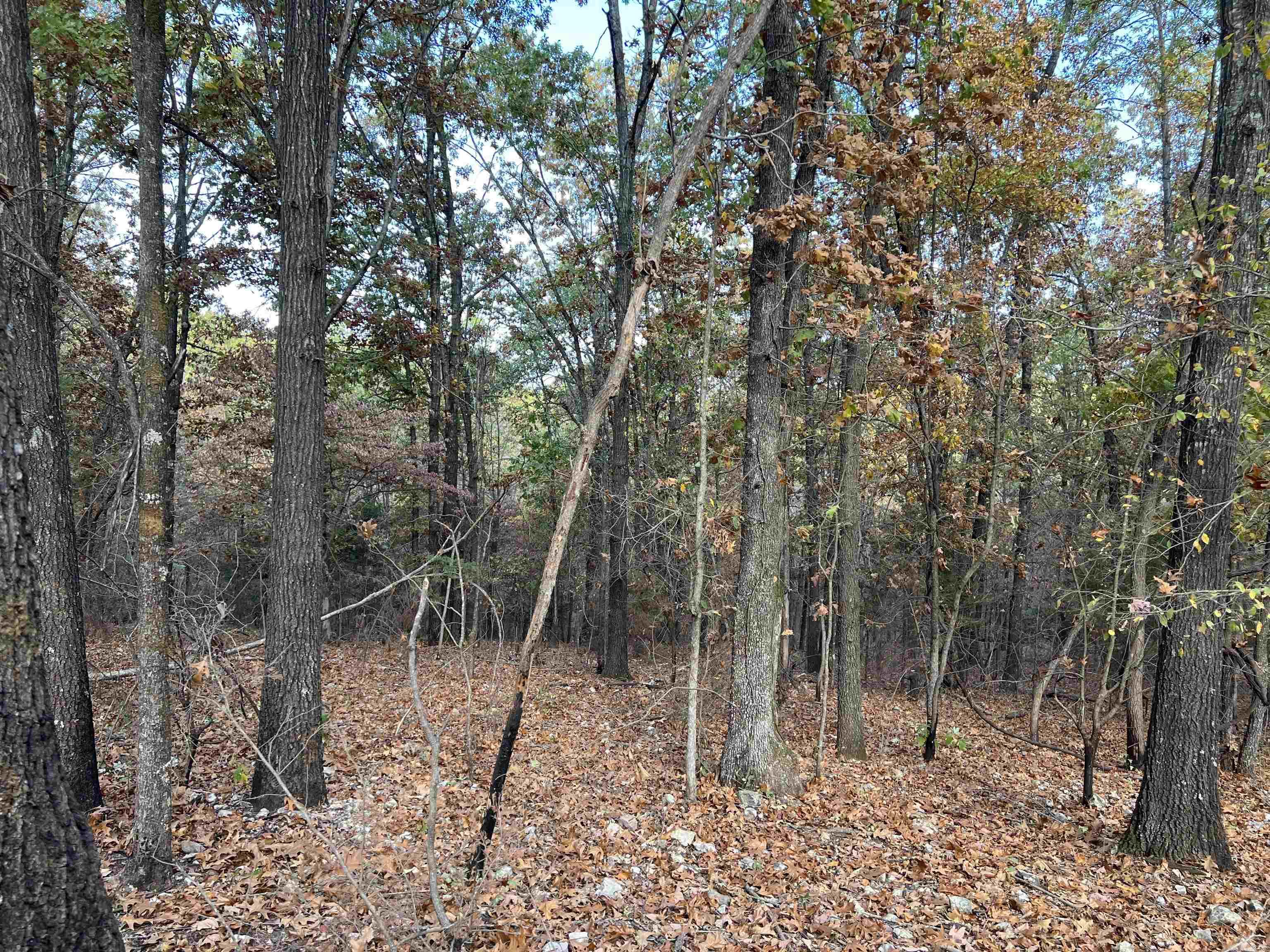 16.33 AC  Jackson  Omaha, AR
