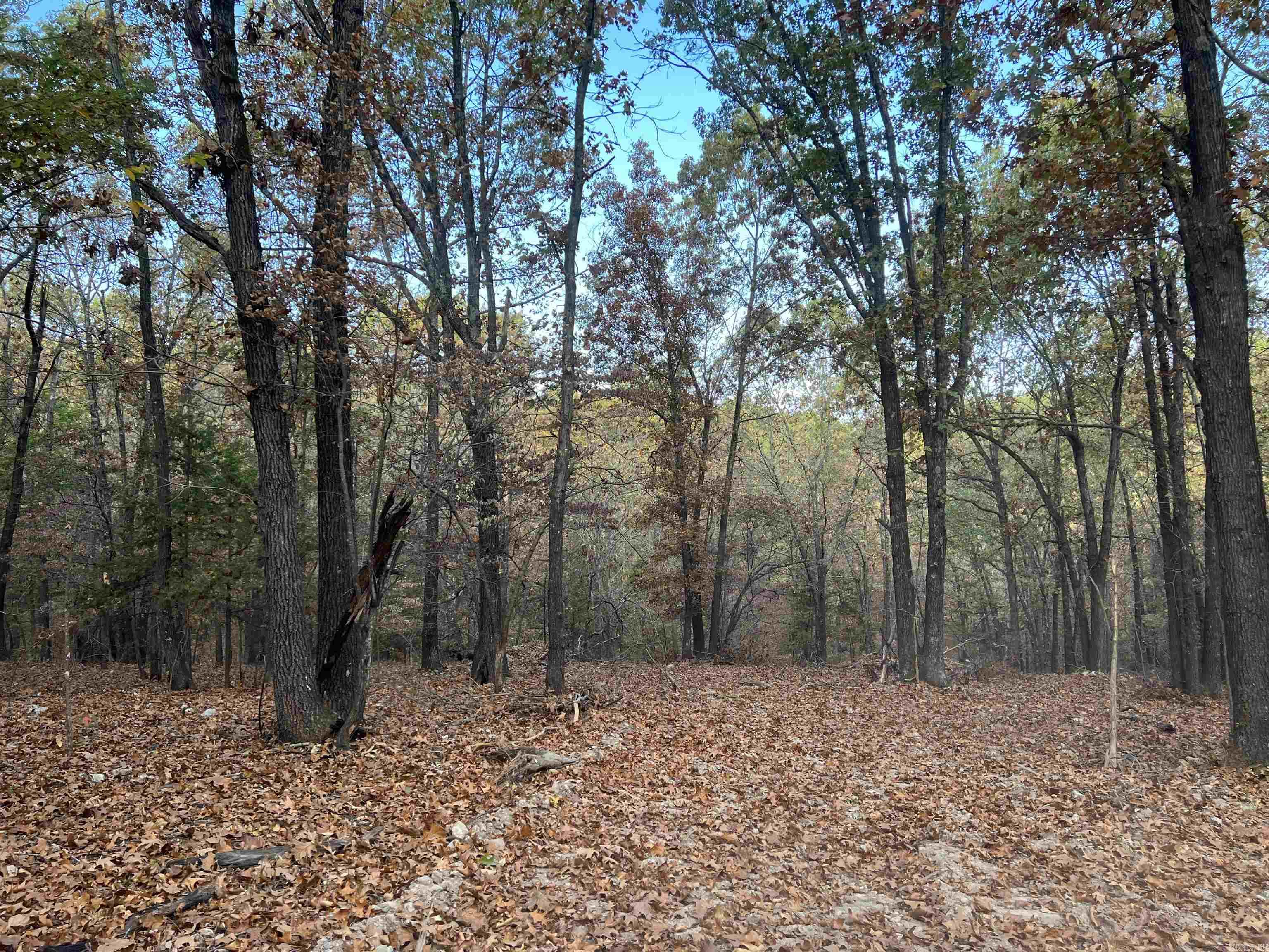 16.33 AC  Jackson  Omaha, AR