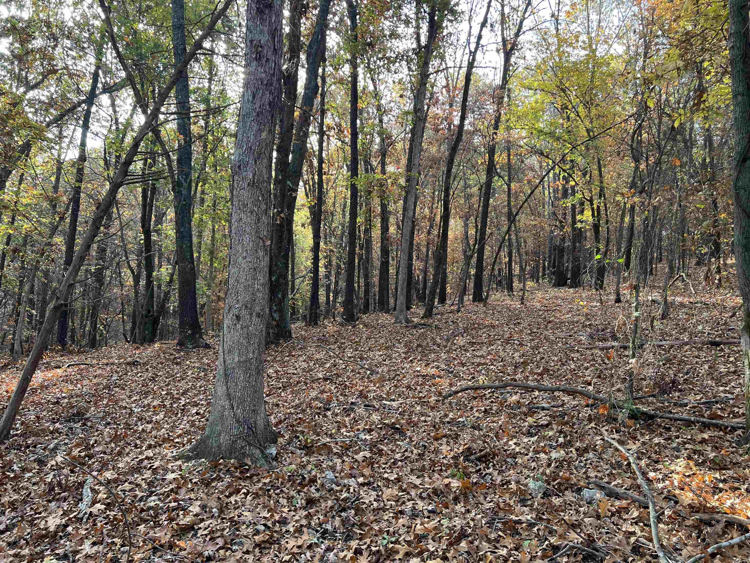 16.33 AC  Jackson  Omaha, AR