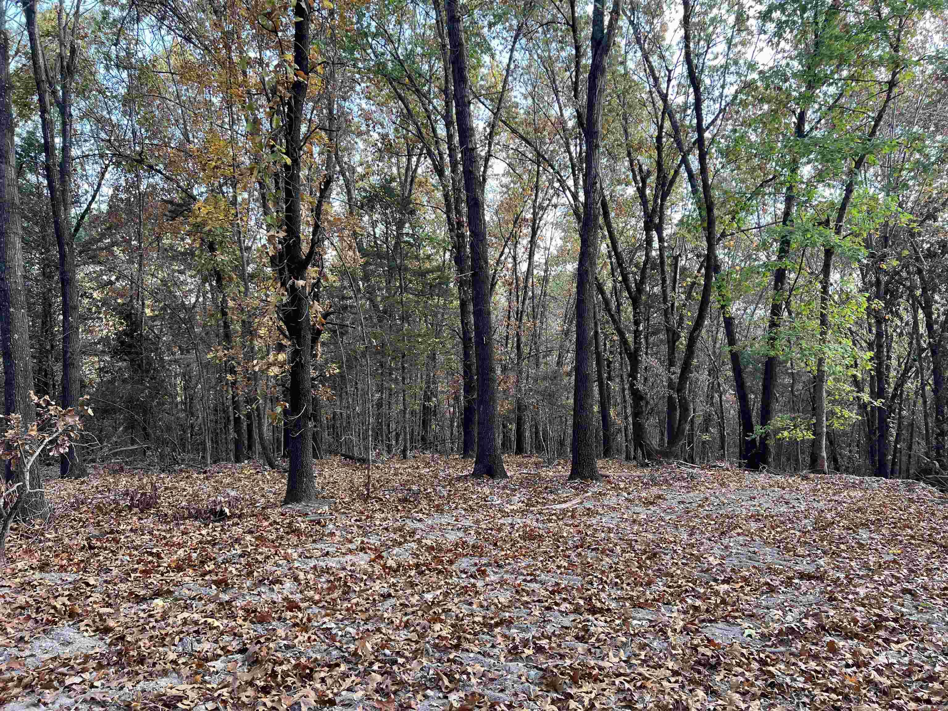 16.33 AC  Jackson  Omaha, AR