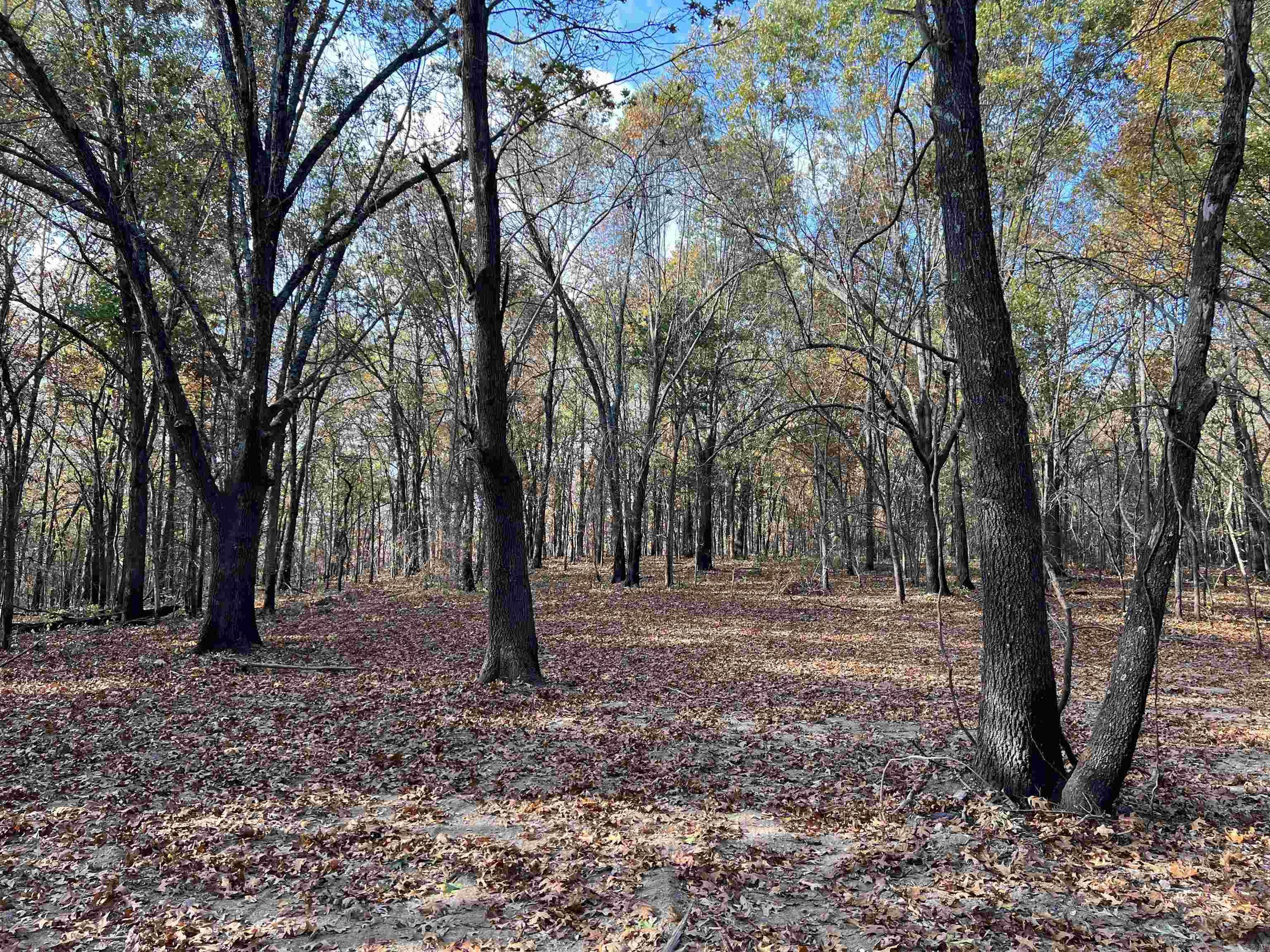 10.61 AC  Jackson  Omaha, AR