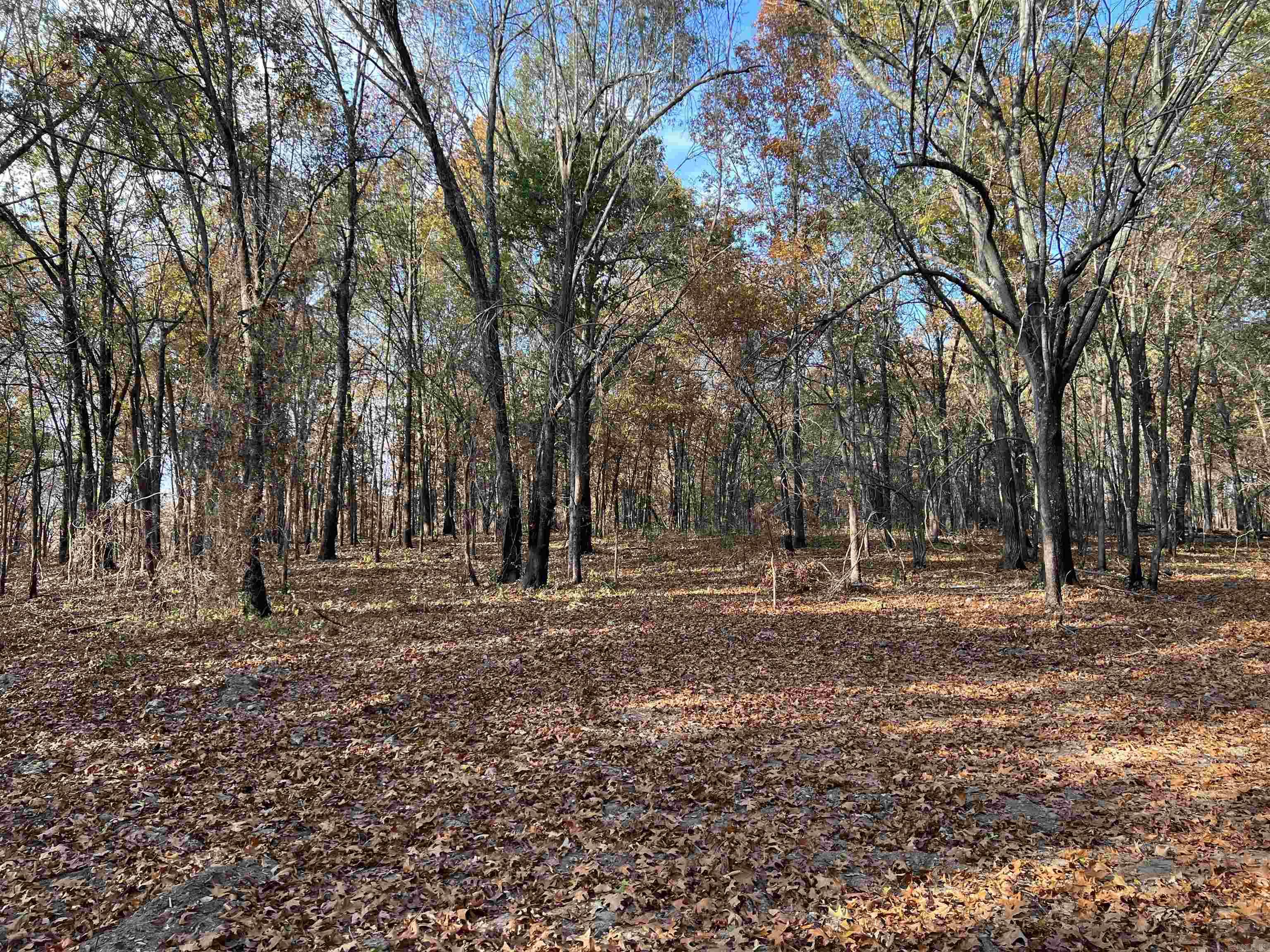 10.61 AC  Jackson  Omaha, AR