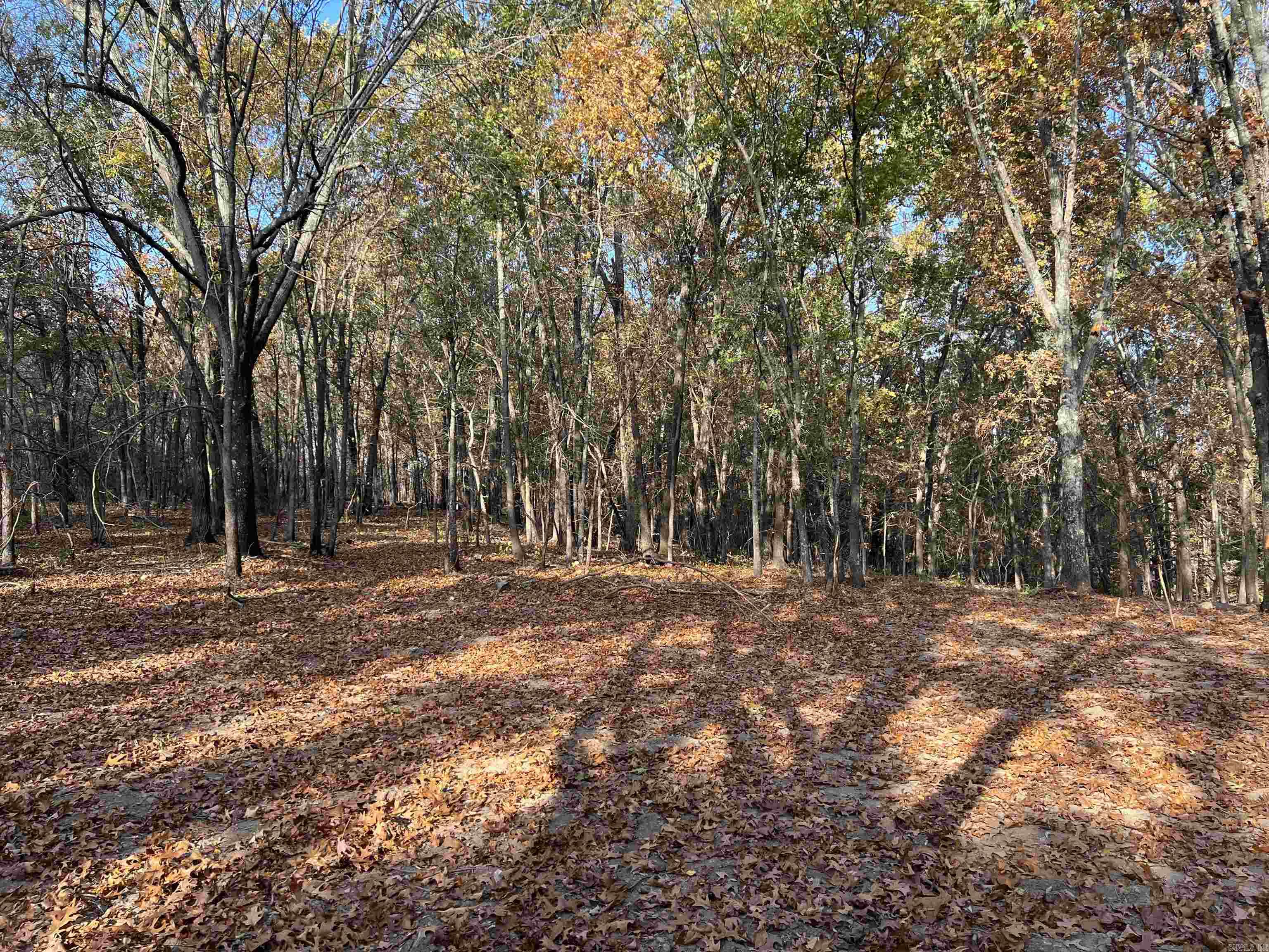 10.61 AC  Jackson  Omaha, AR