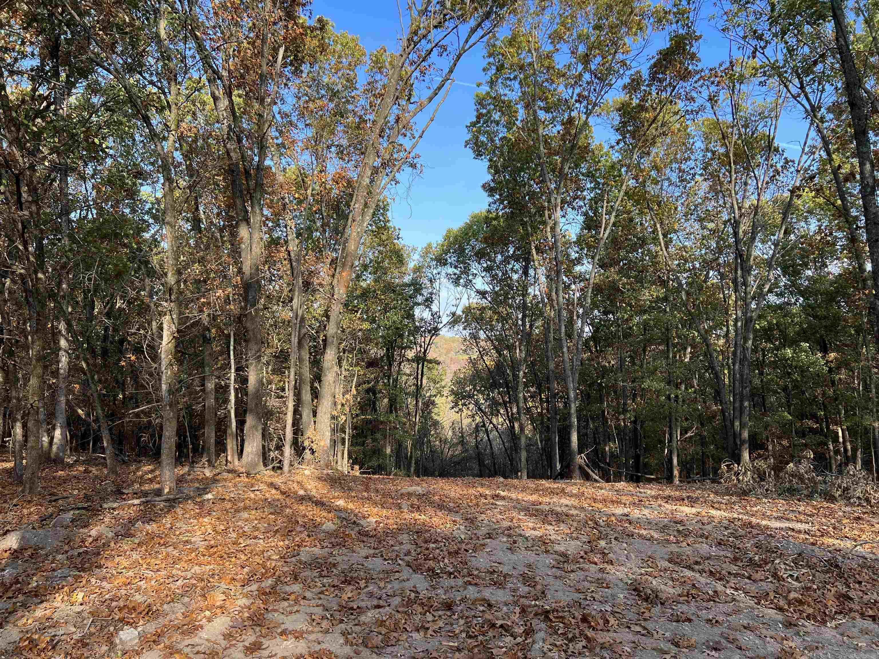 10.61 AC  Jackson  Omaha, AR