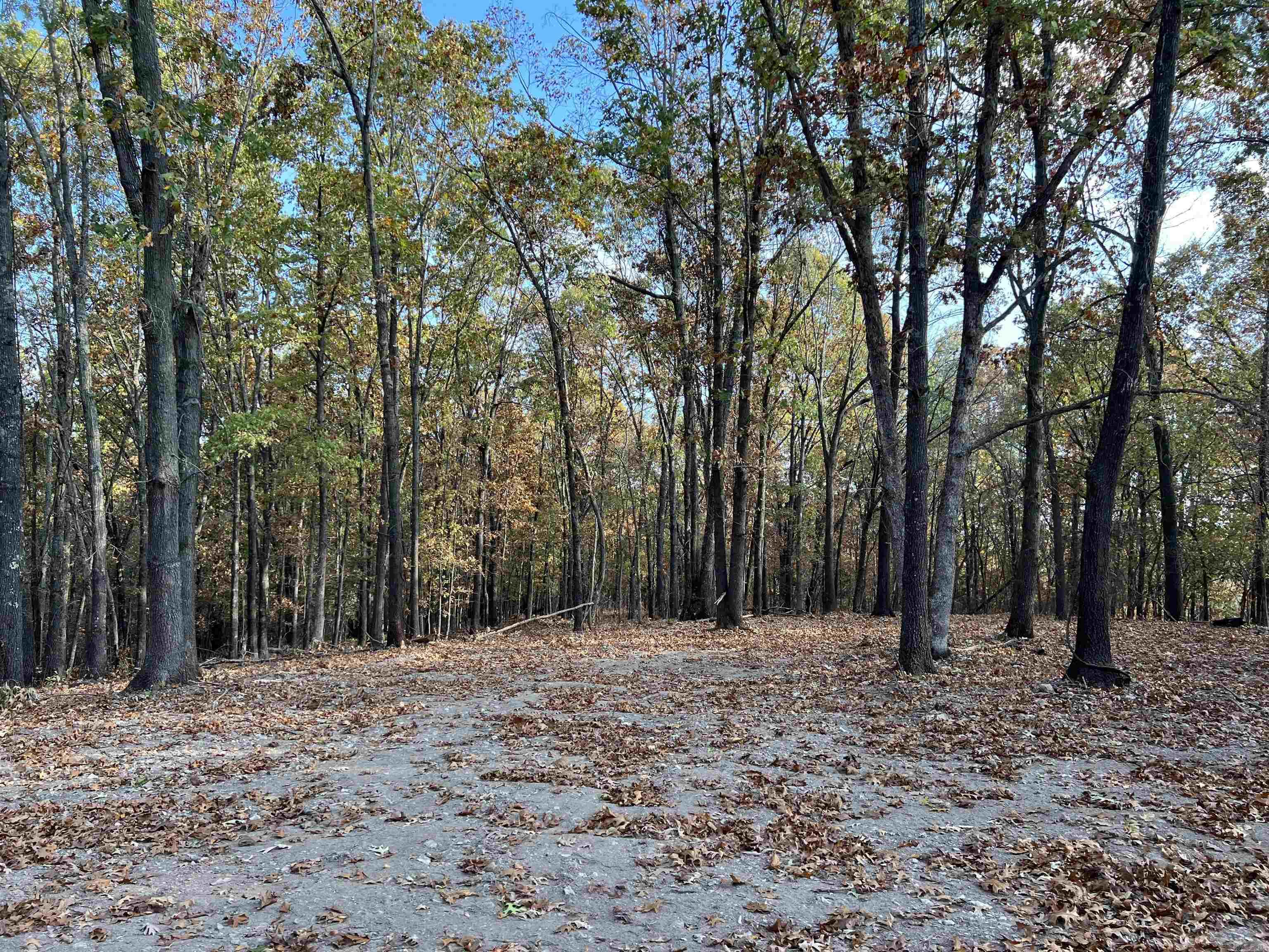 10.61 AC  Jackson  Omaha, AR
