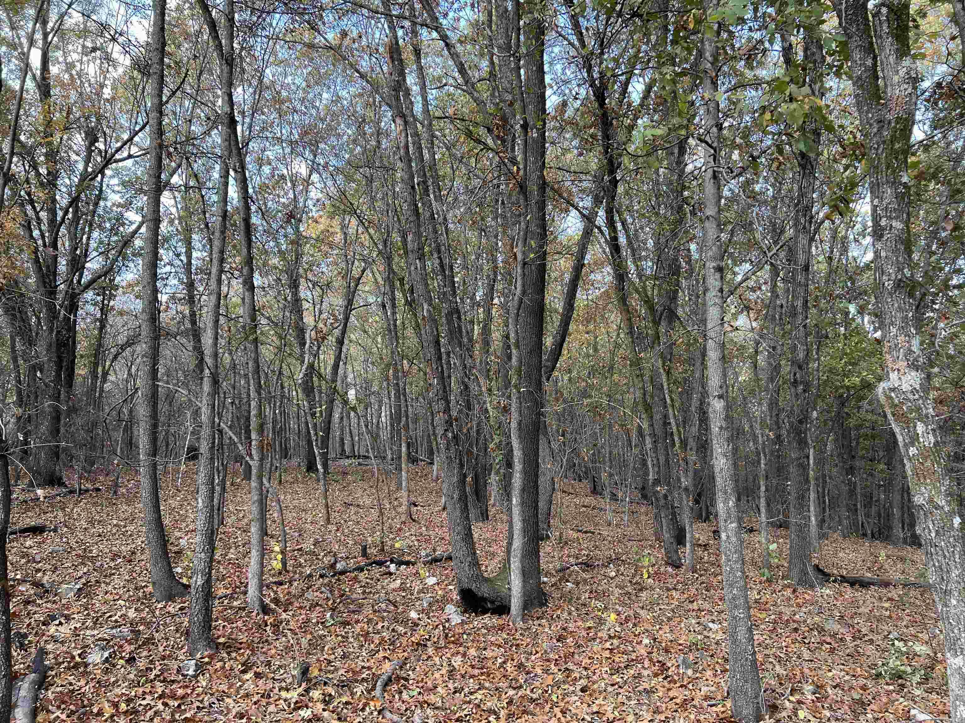 10.61 AC  Jackson  Omaha, AR