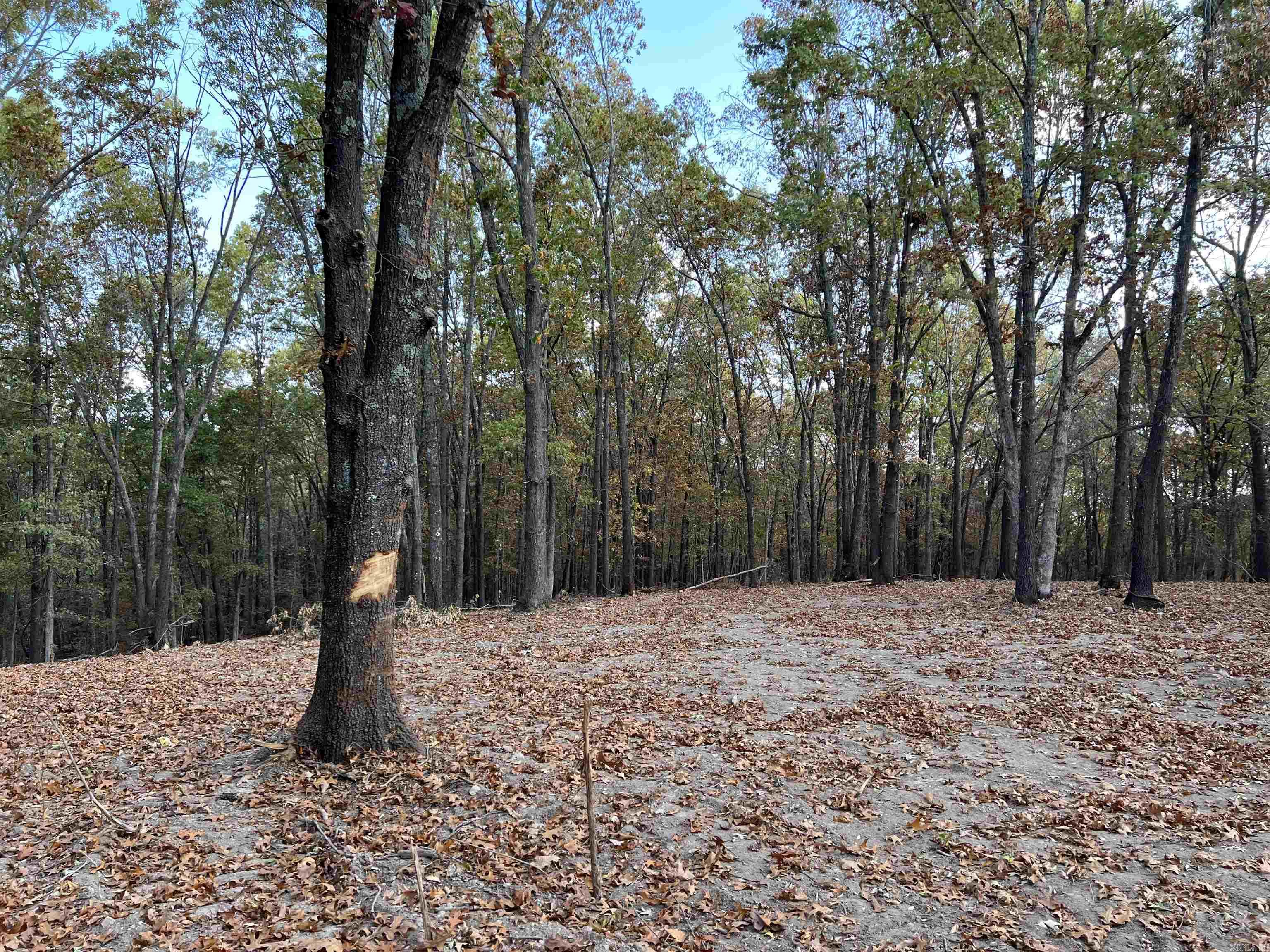 10.61 AC  Jackson  Omaha, AR