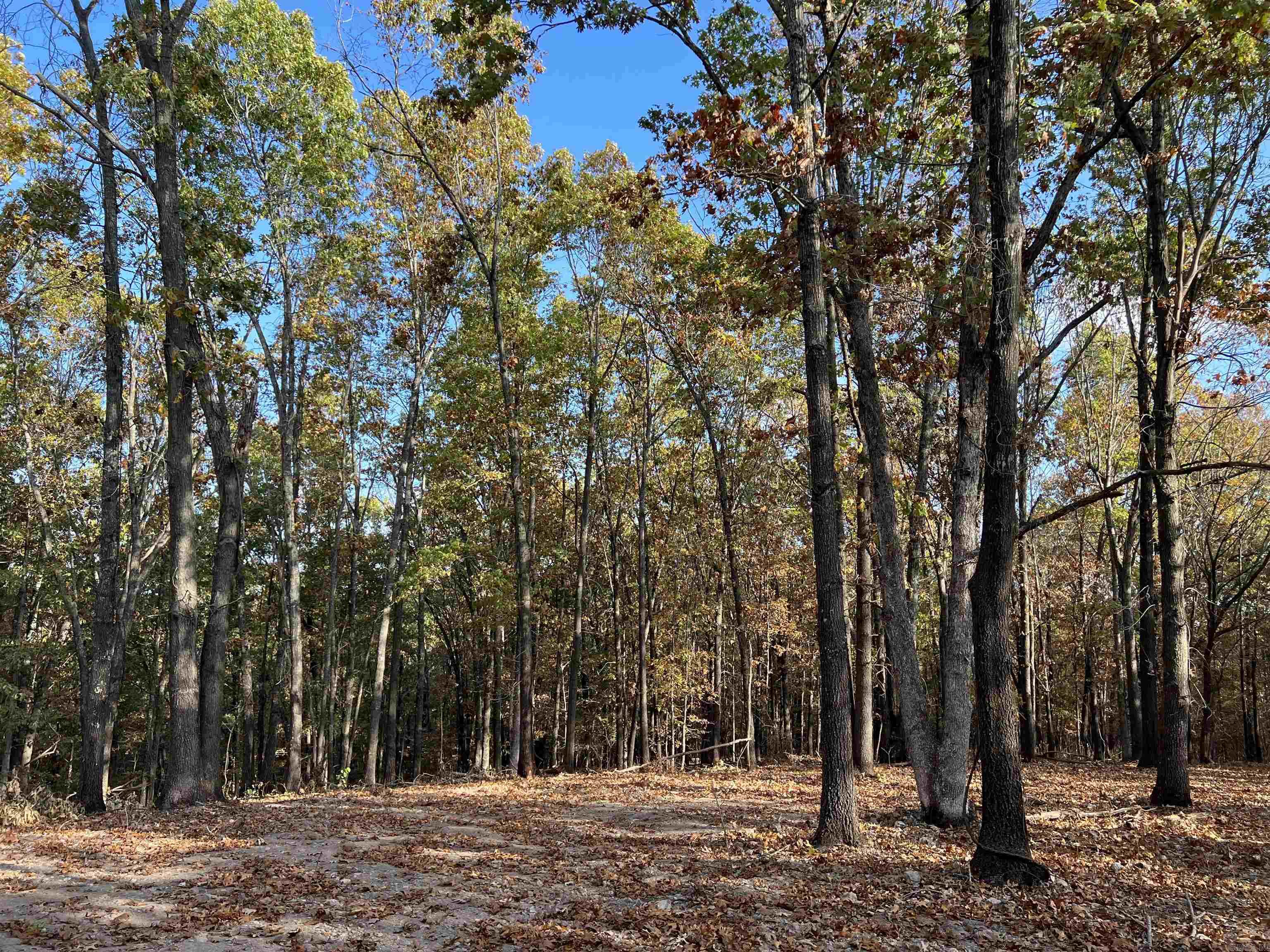 10.61 AC  Jackson  Omaha, AR