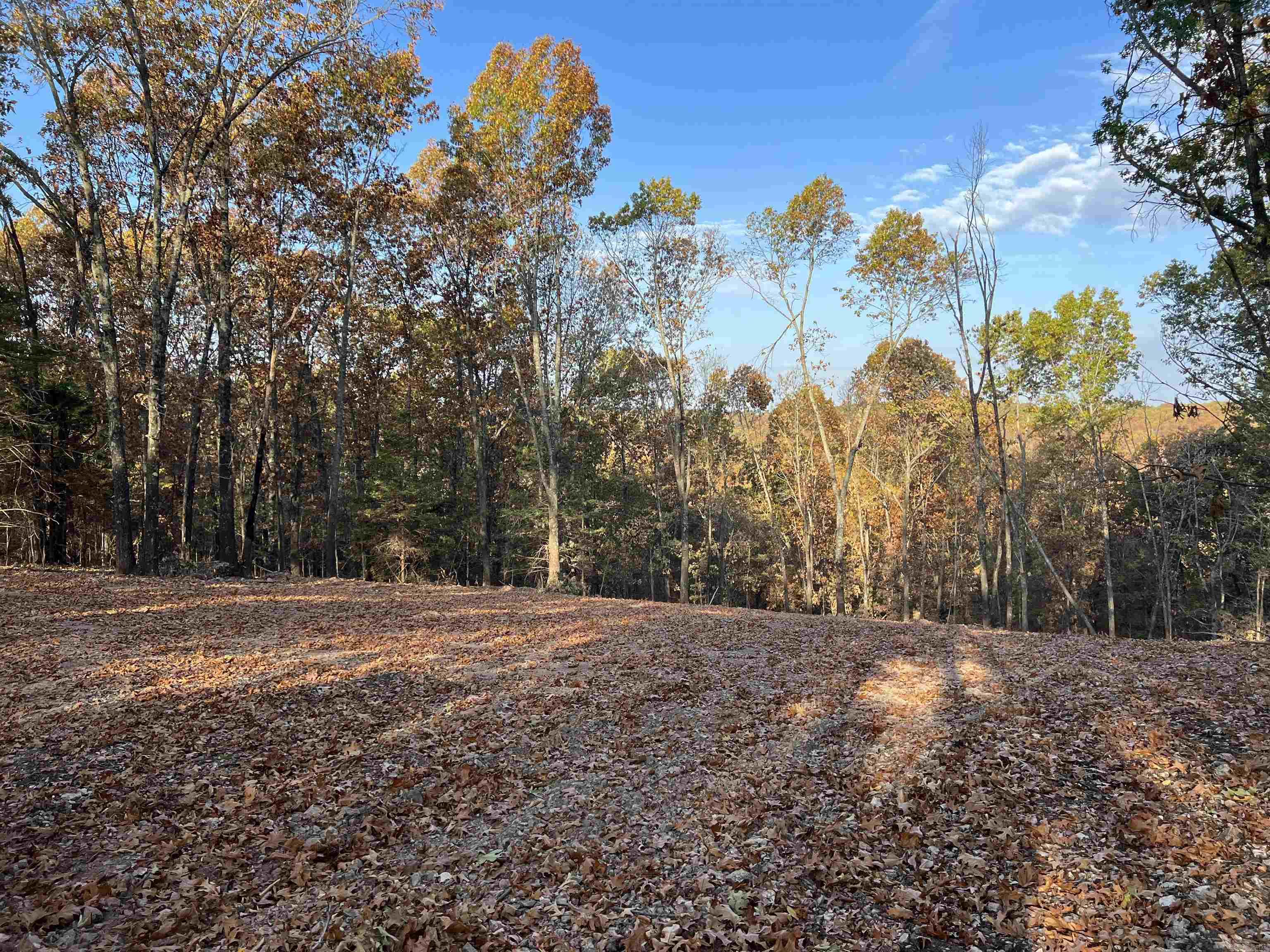 10.51 AC  Jackson  Omaha, AR