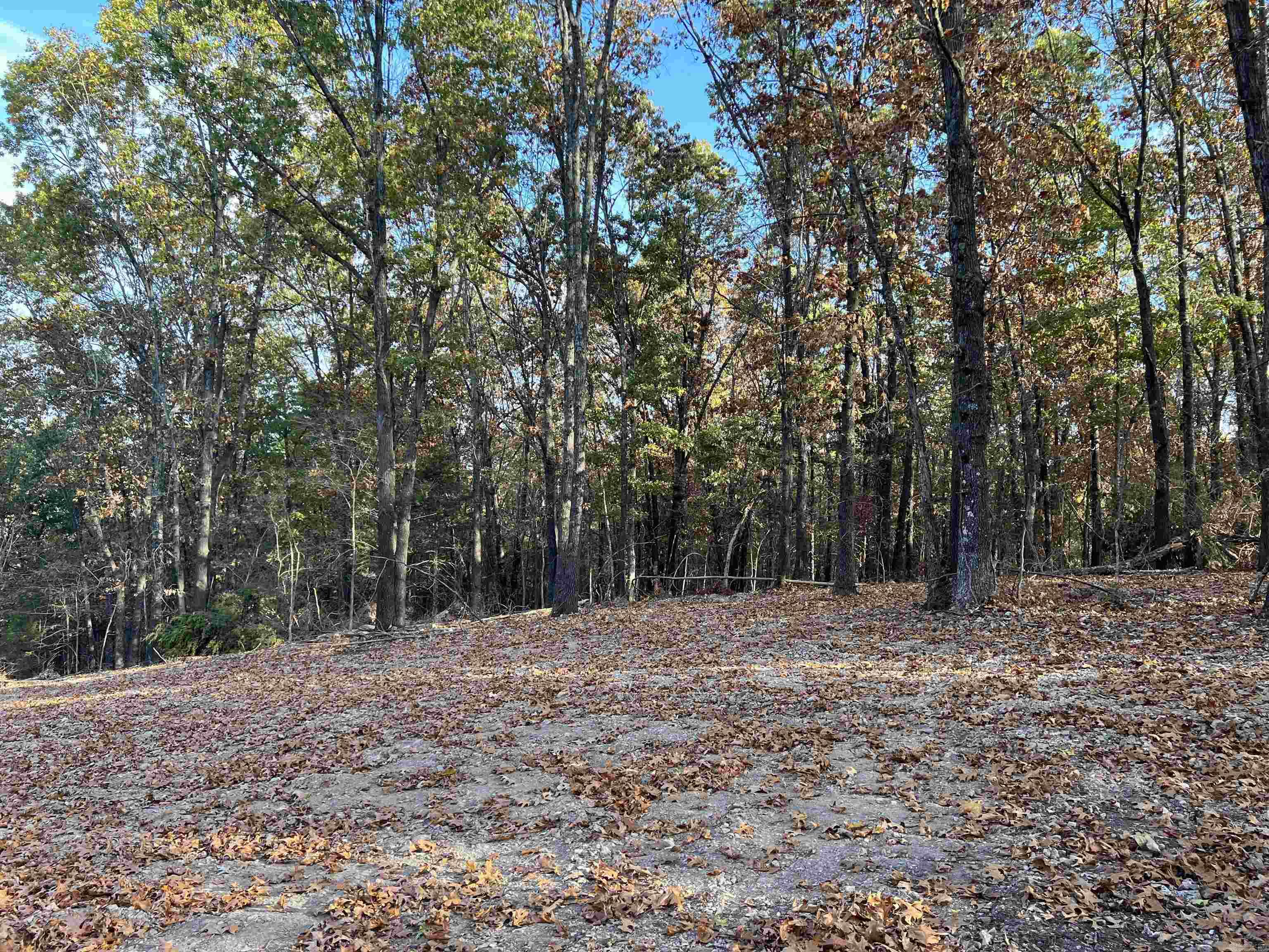 10.51 AC  Jackson  Omaha, AR