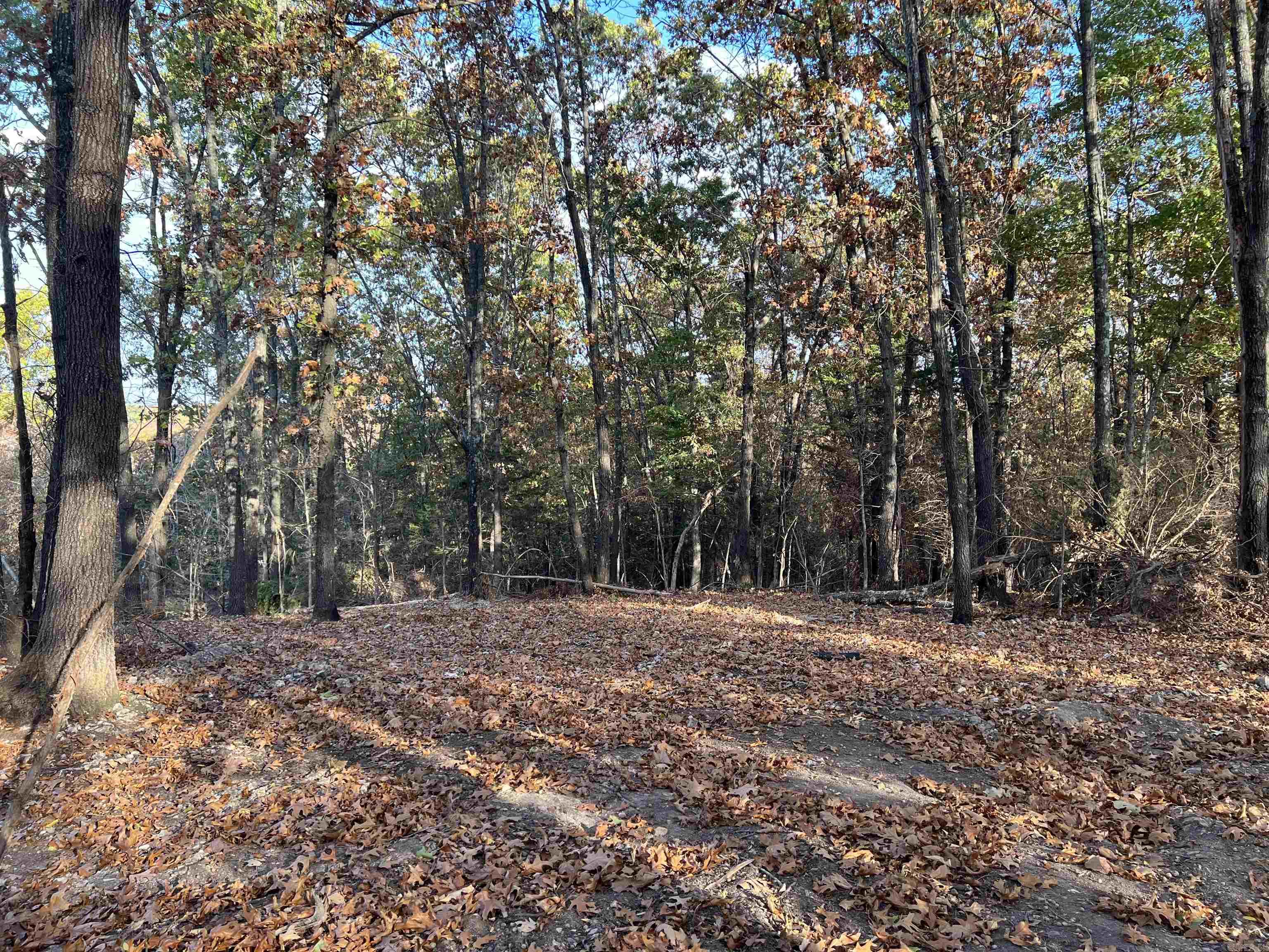 10.51 AC  Jackson  Omaha, AR