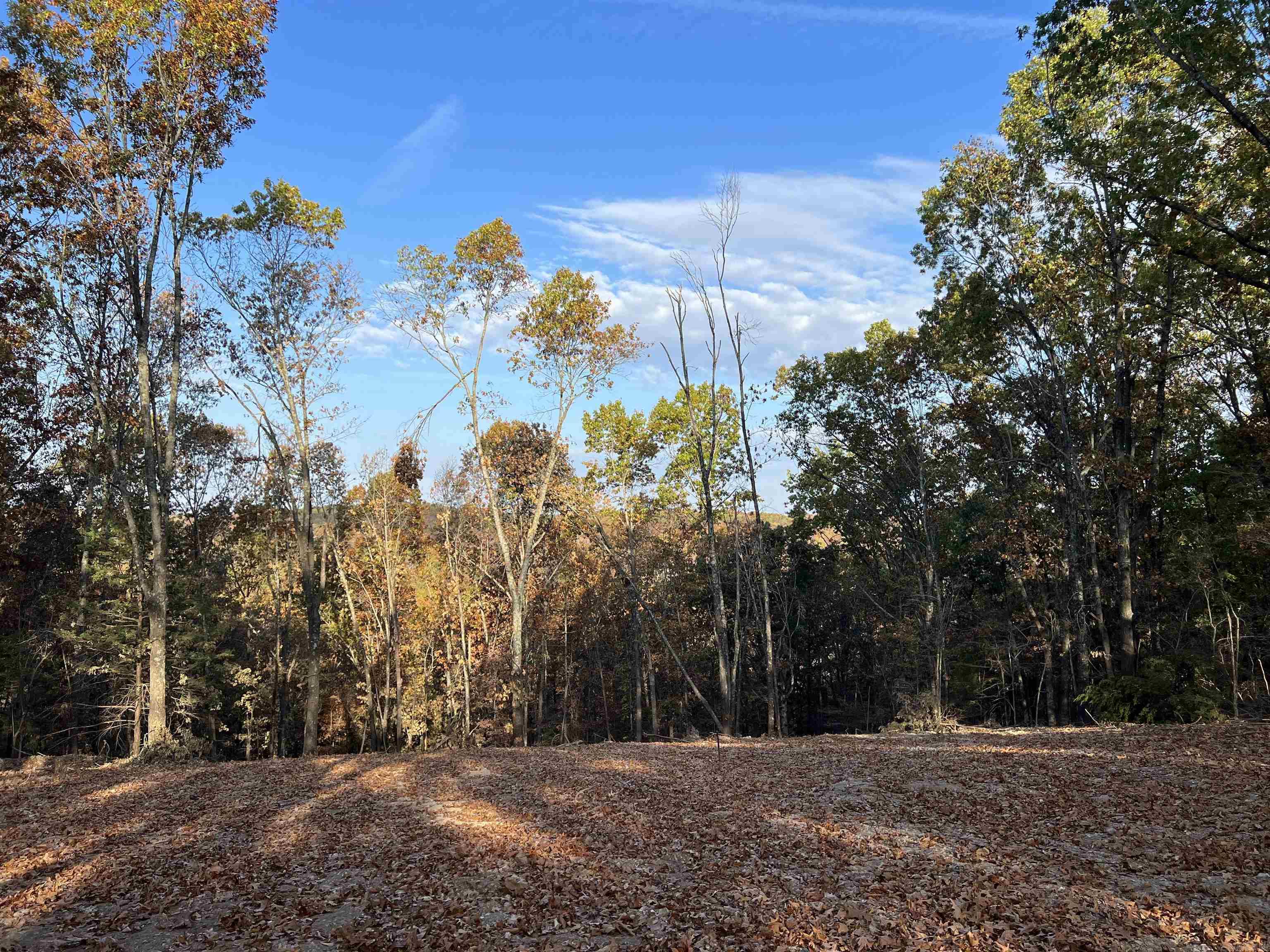 10.51 AC  Jackson  Omaha, AR