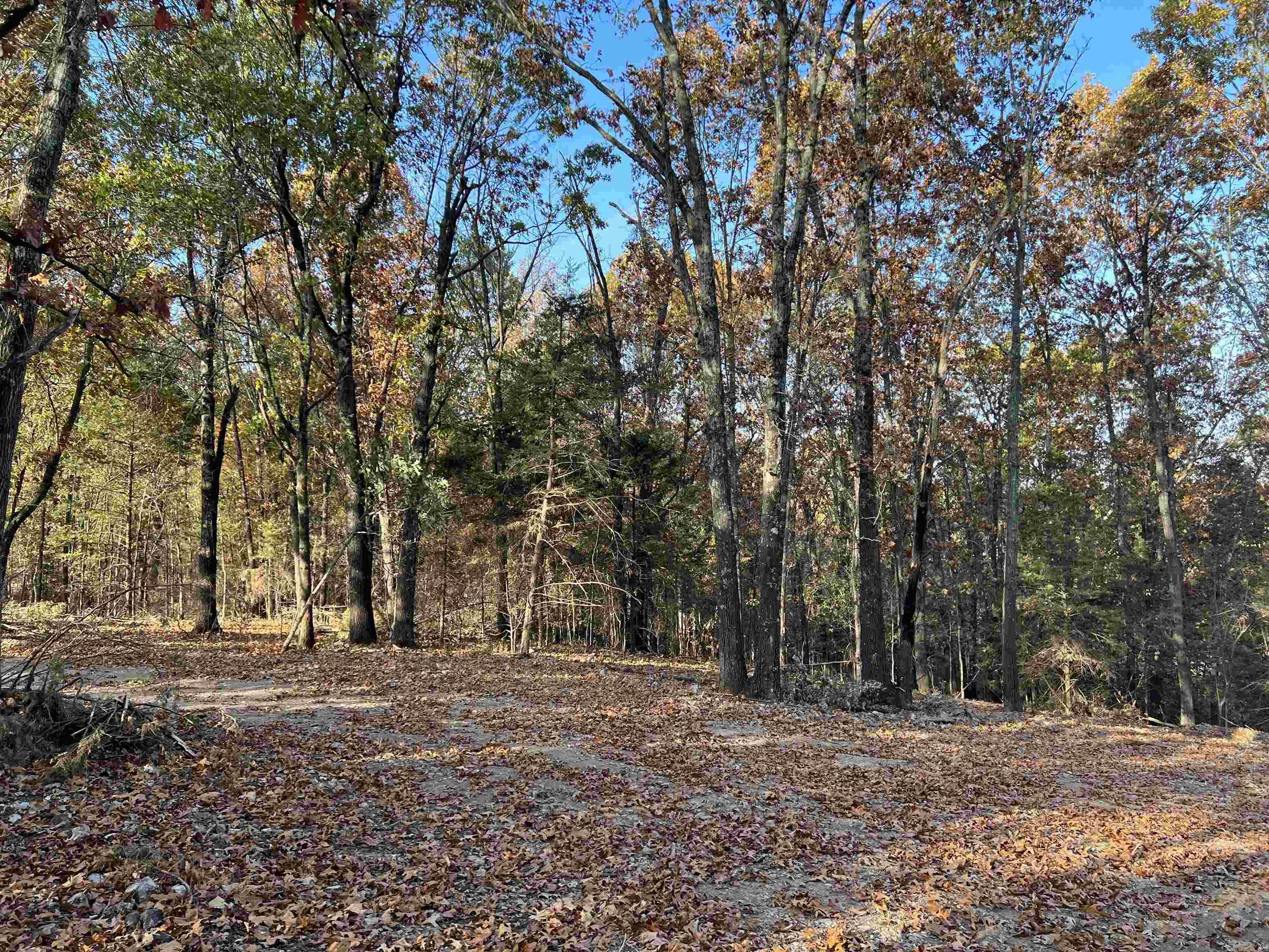 10.51 AC  Jackson  Omaha, AR