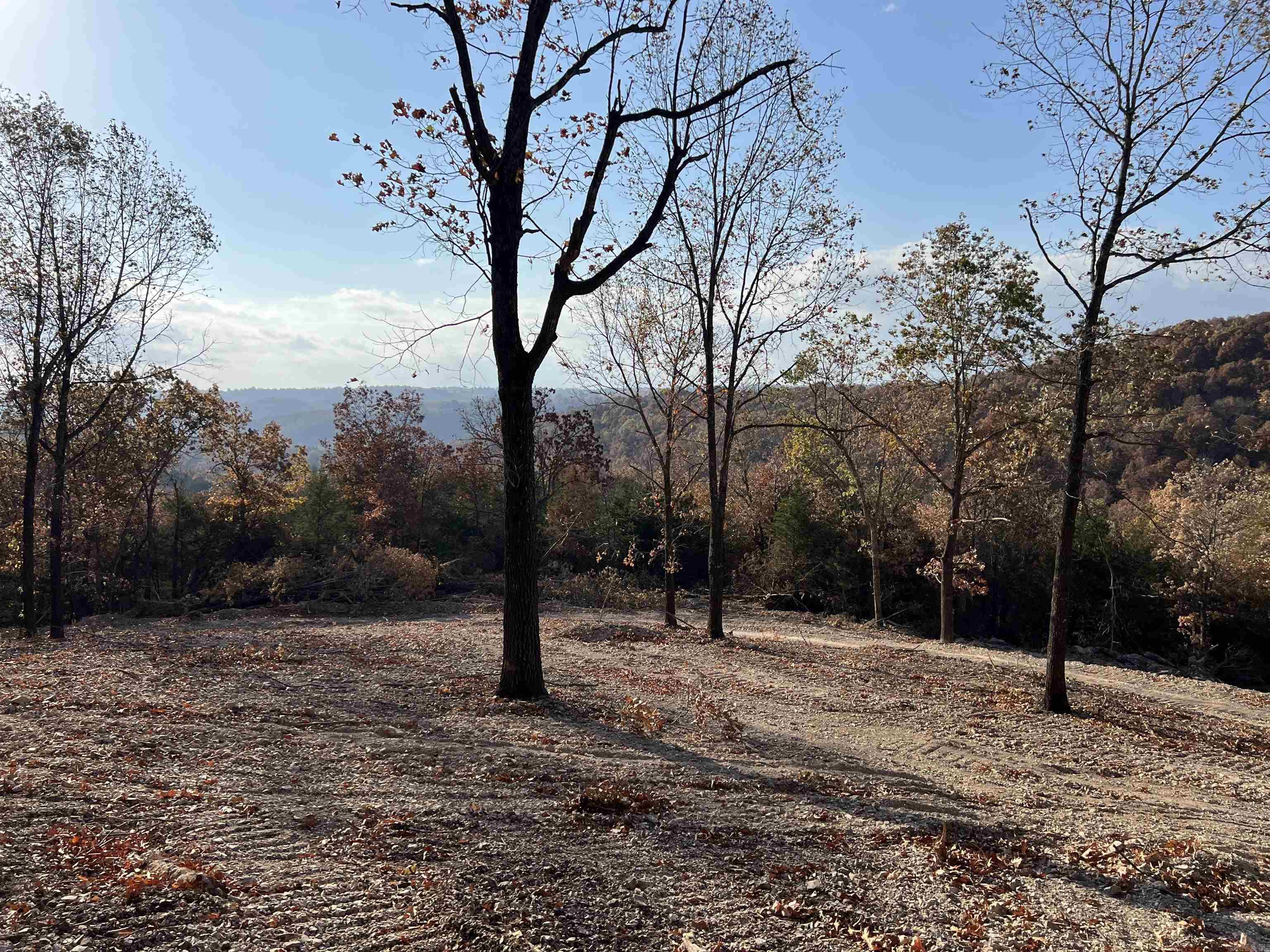 21.73 AC  Jackson  Omaha, AR