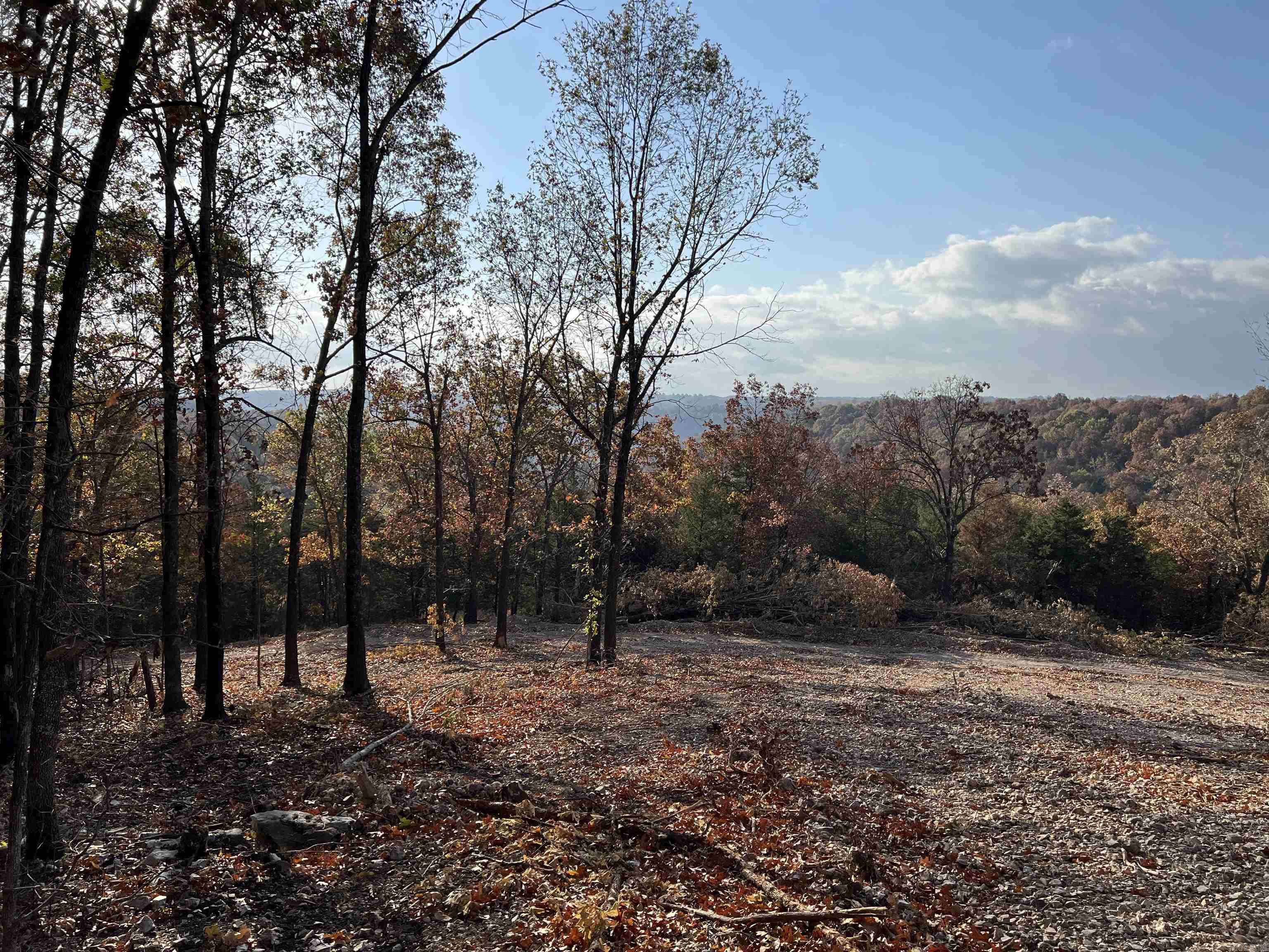 21.73 AC  Jackson  Omaha, AR