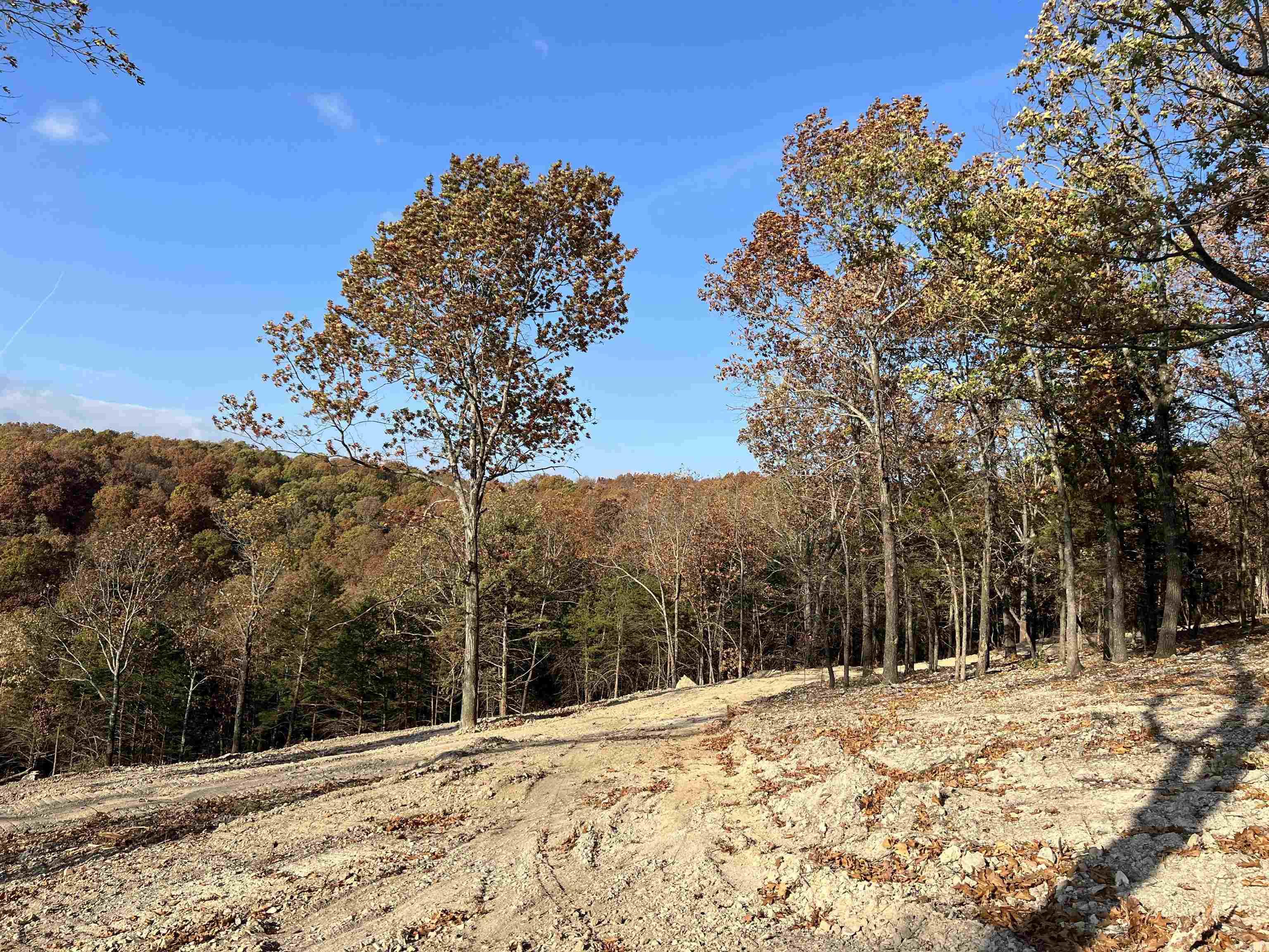 21.73 AC  Jackson  Omaha, AR