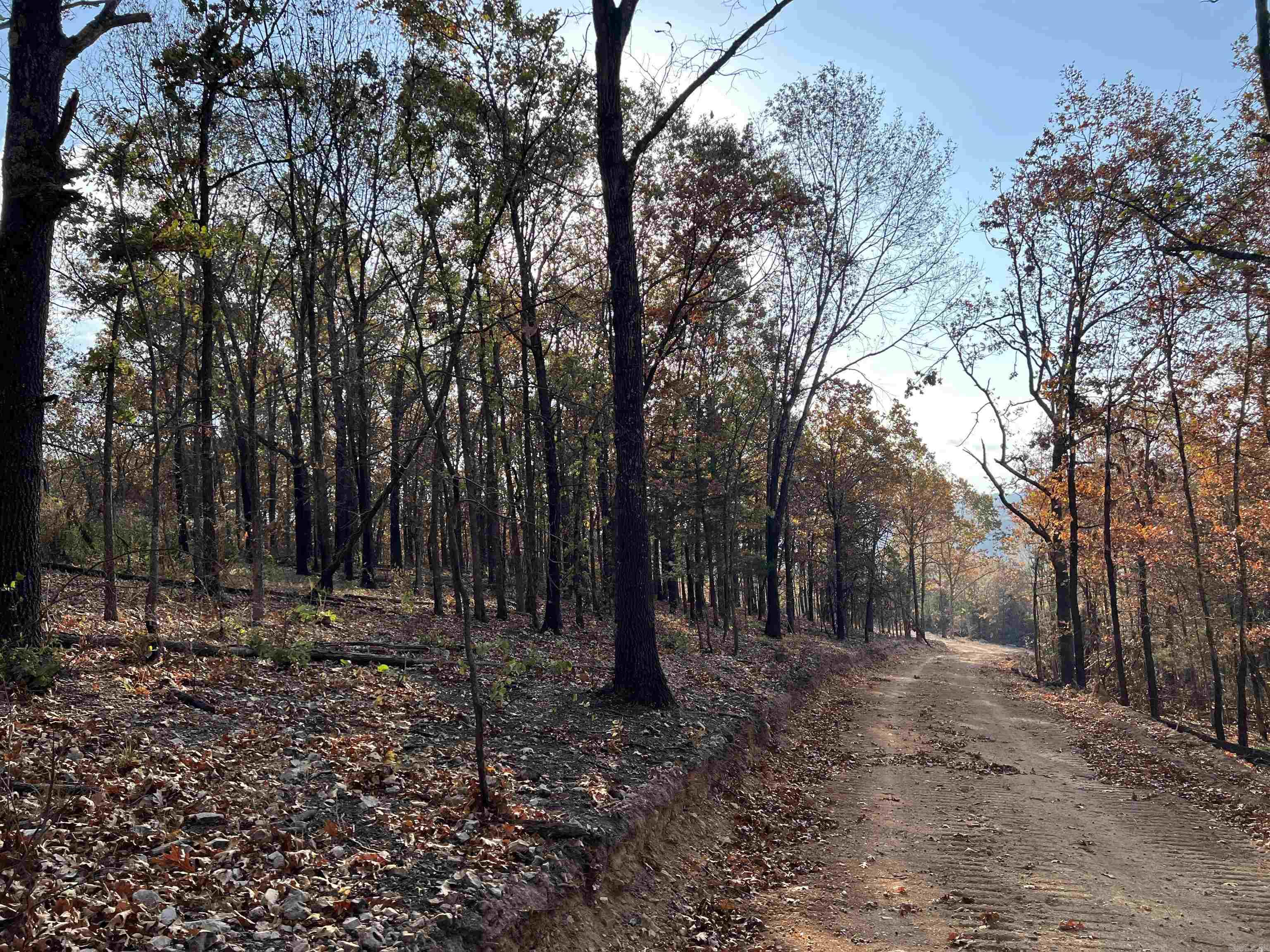21.73 AC  Jackson  Omaha, AR