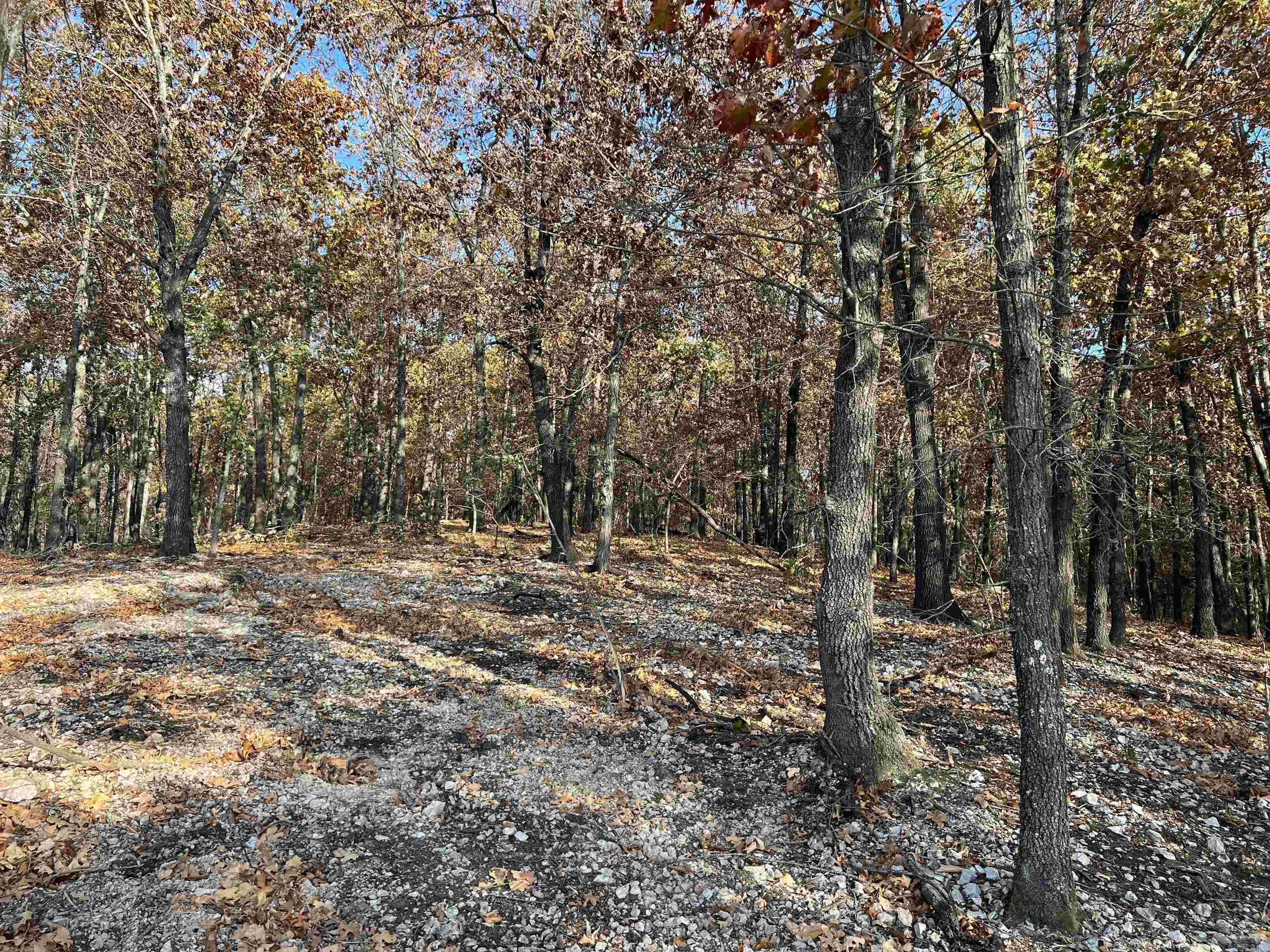 21.73 AC  Jackson  Omaha, AR