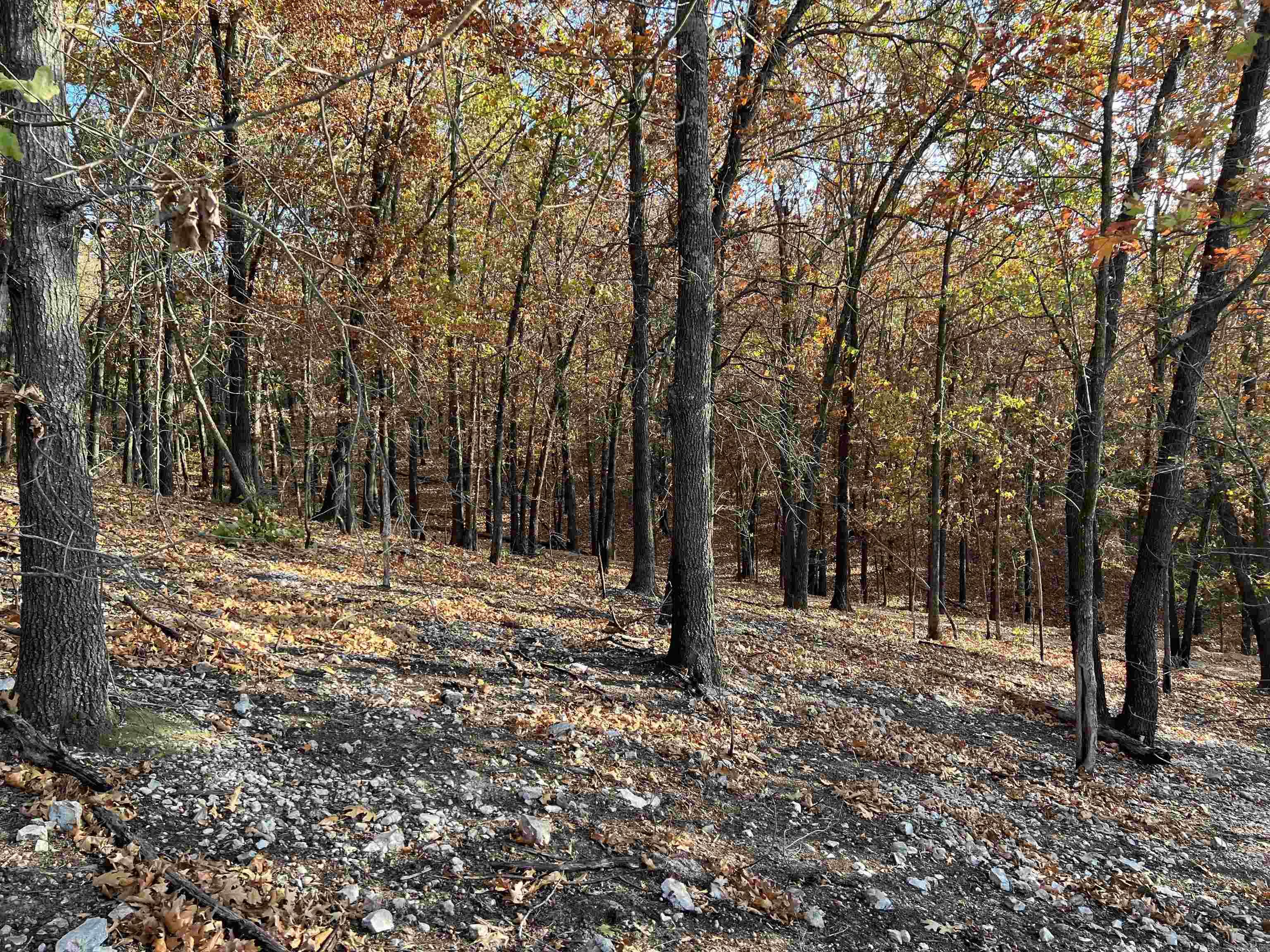 21.73 AC  Jackson  Omaha, AR