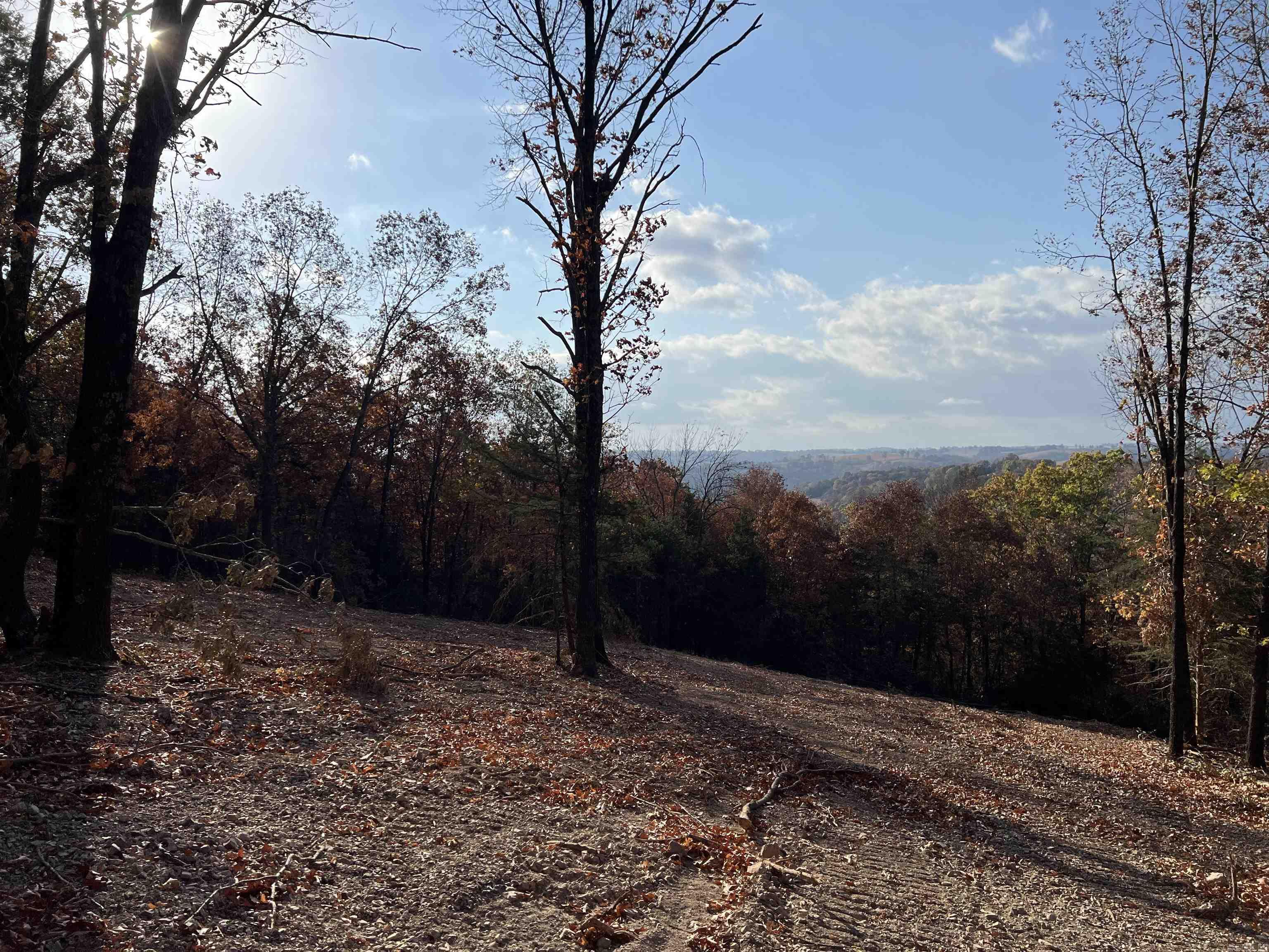 11.00 AC  Jackson  Omaha, AR
