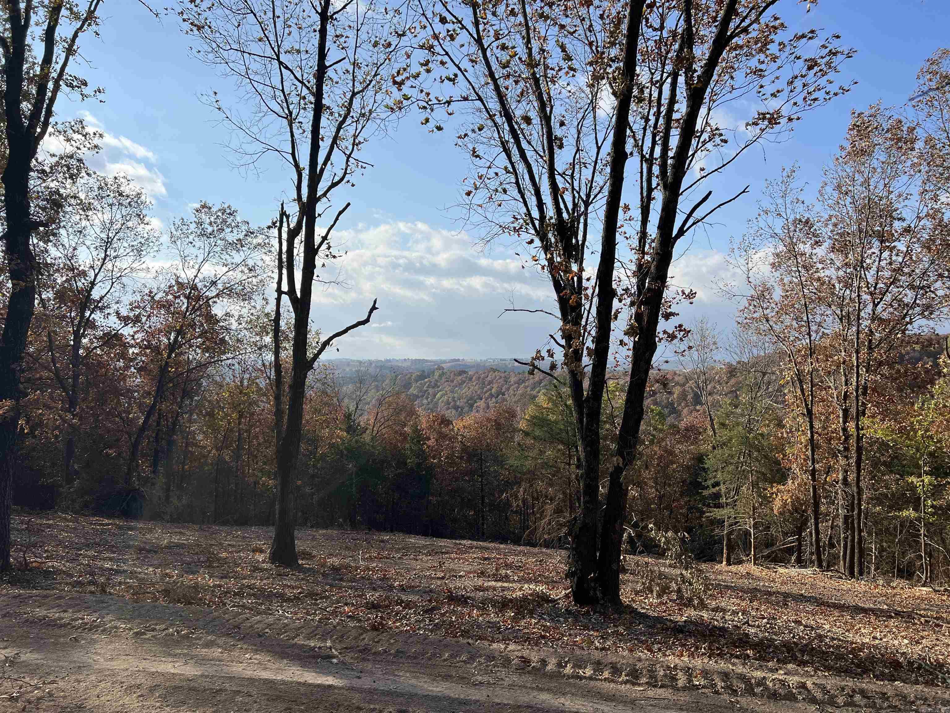 11.00 AC  Jackson  Omaha, AR