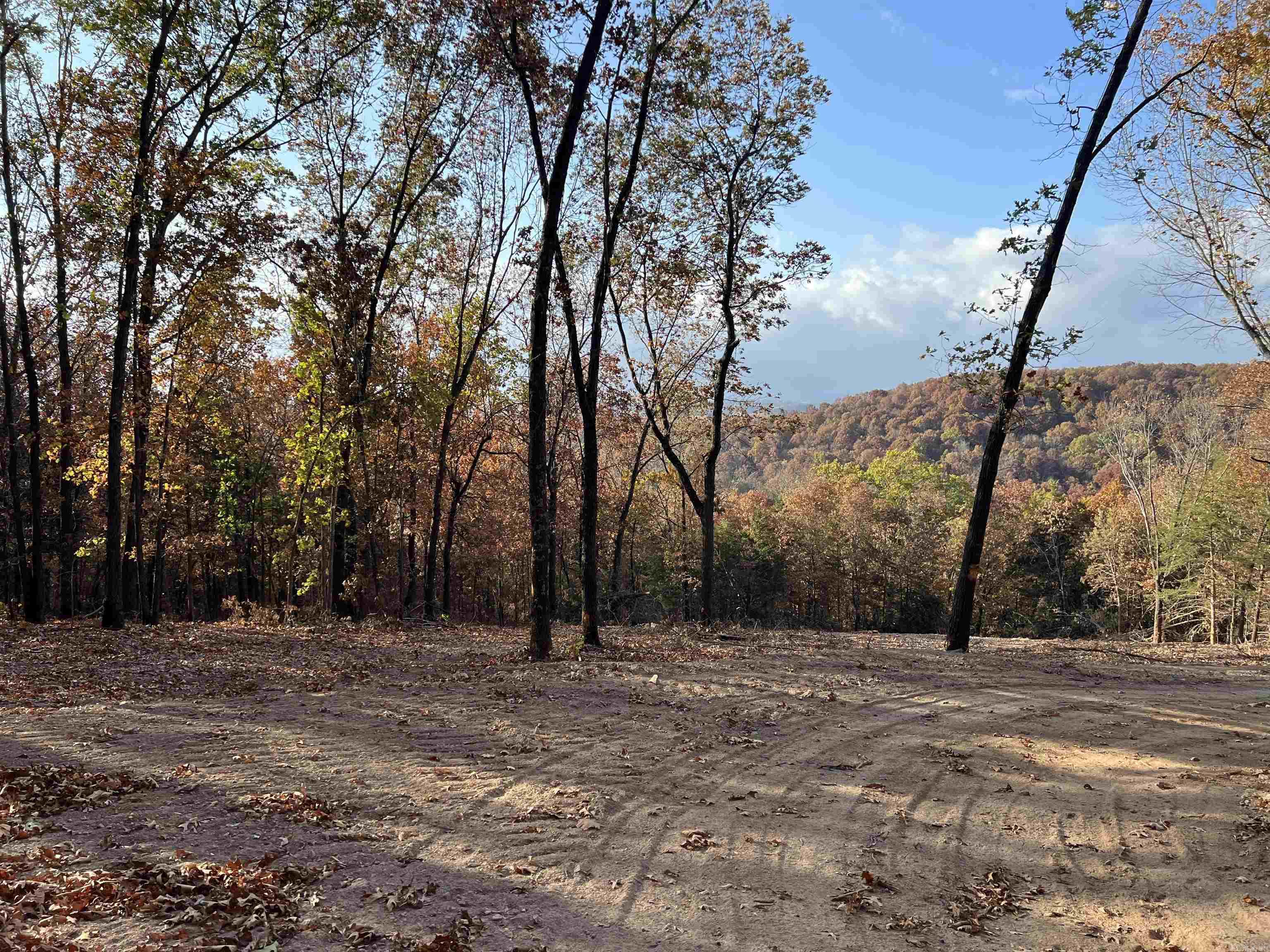11.00 AC  Jackson  Omaha, AR