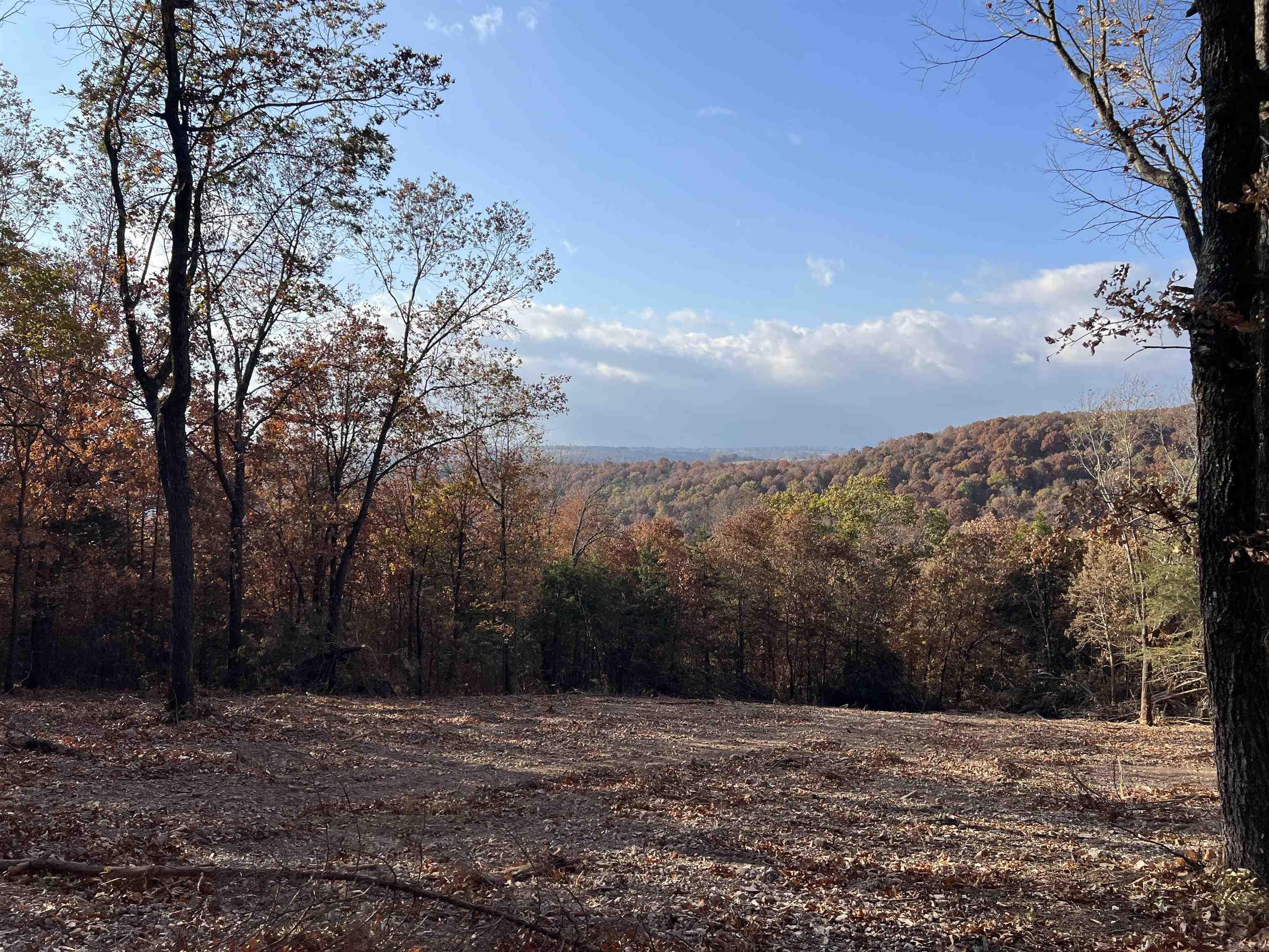 11.00 AC  Jackson  Omaha, AR
