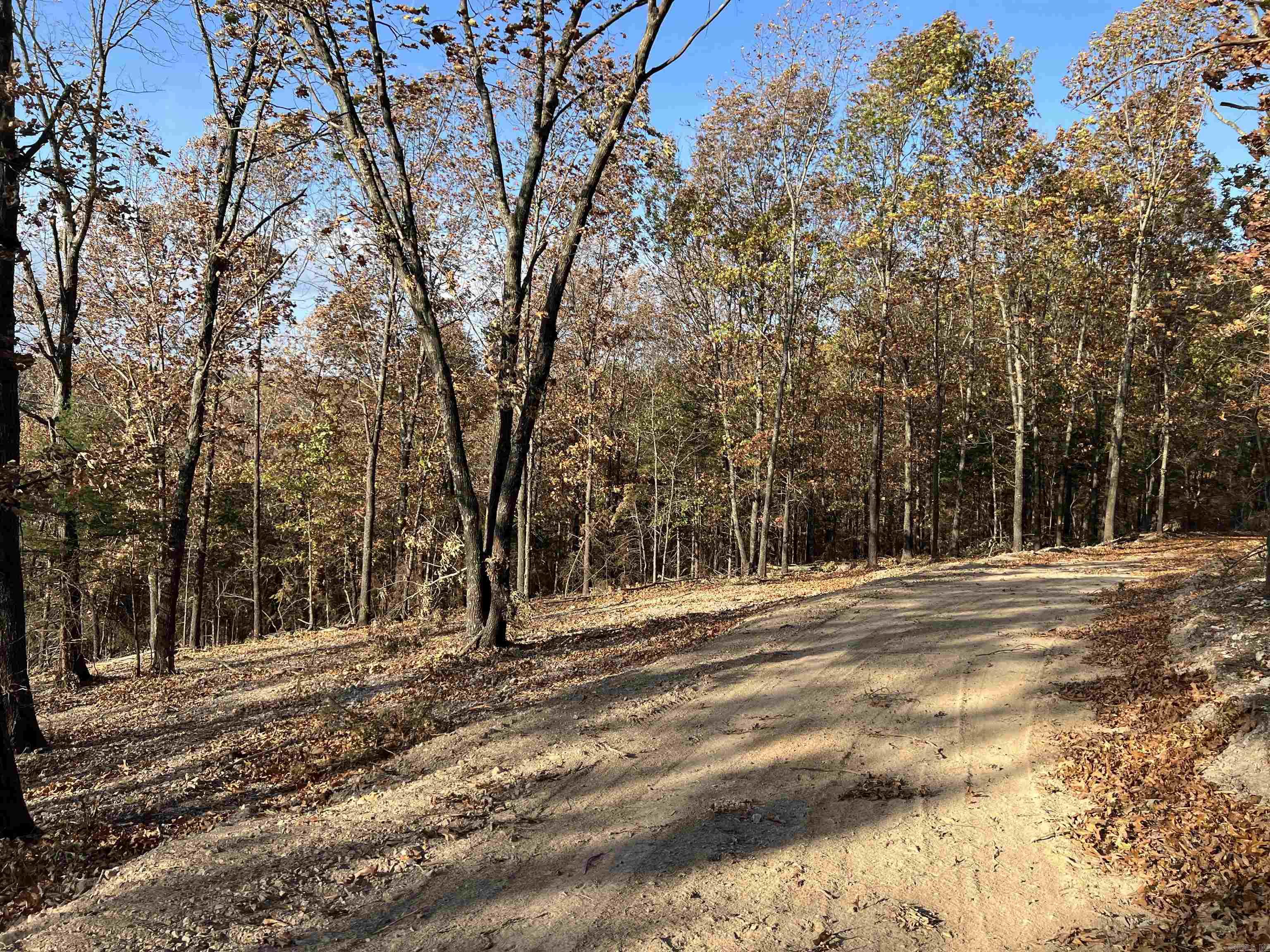 11.00 AC  Jackson  Omaha, AR